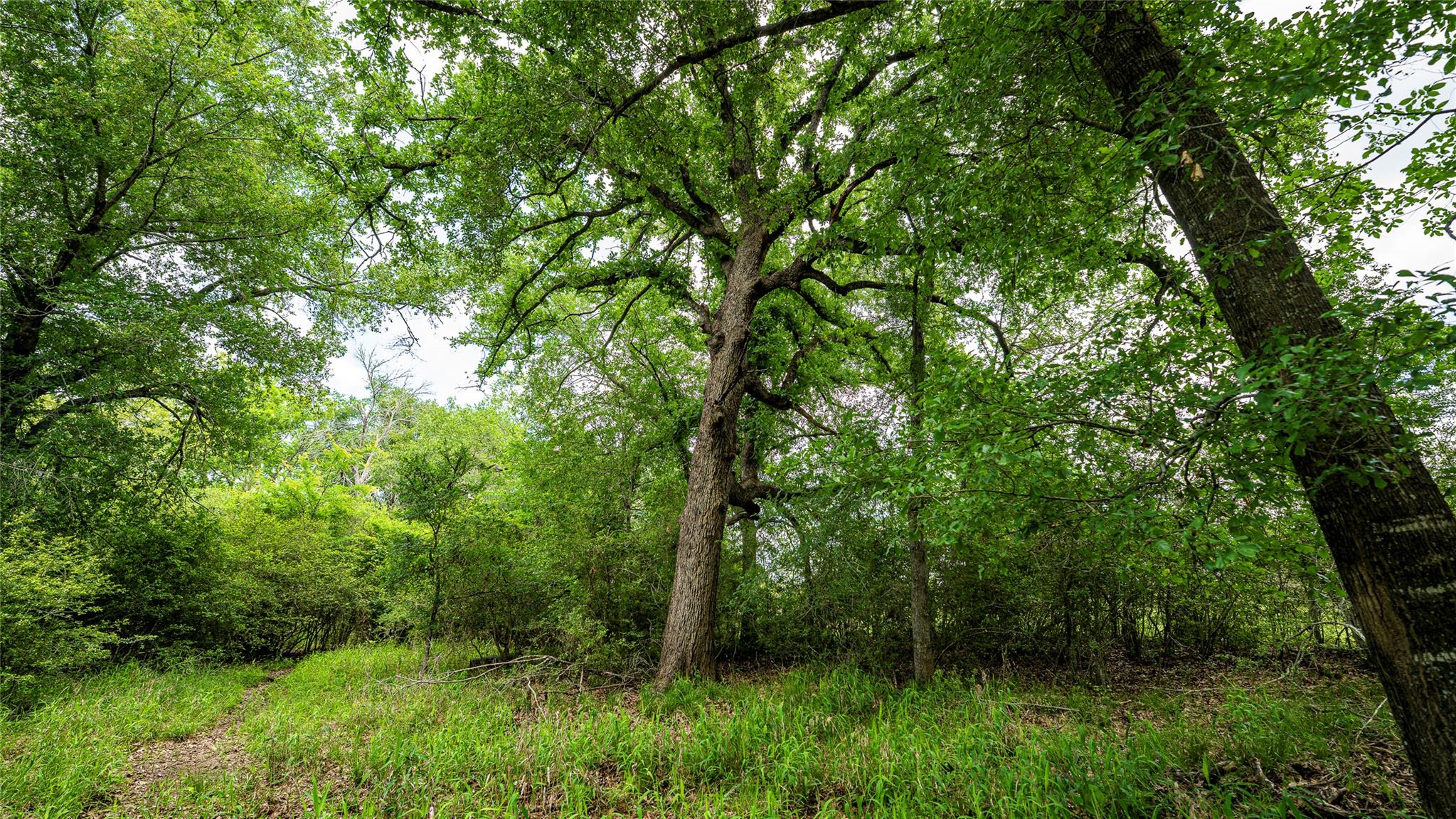 Esmt County Road 302 None Property Photo 16