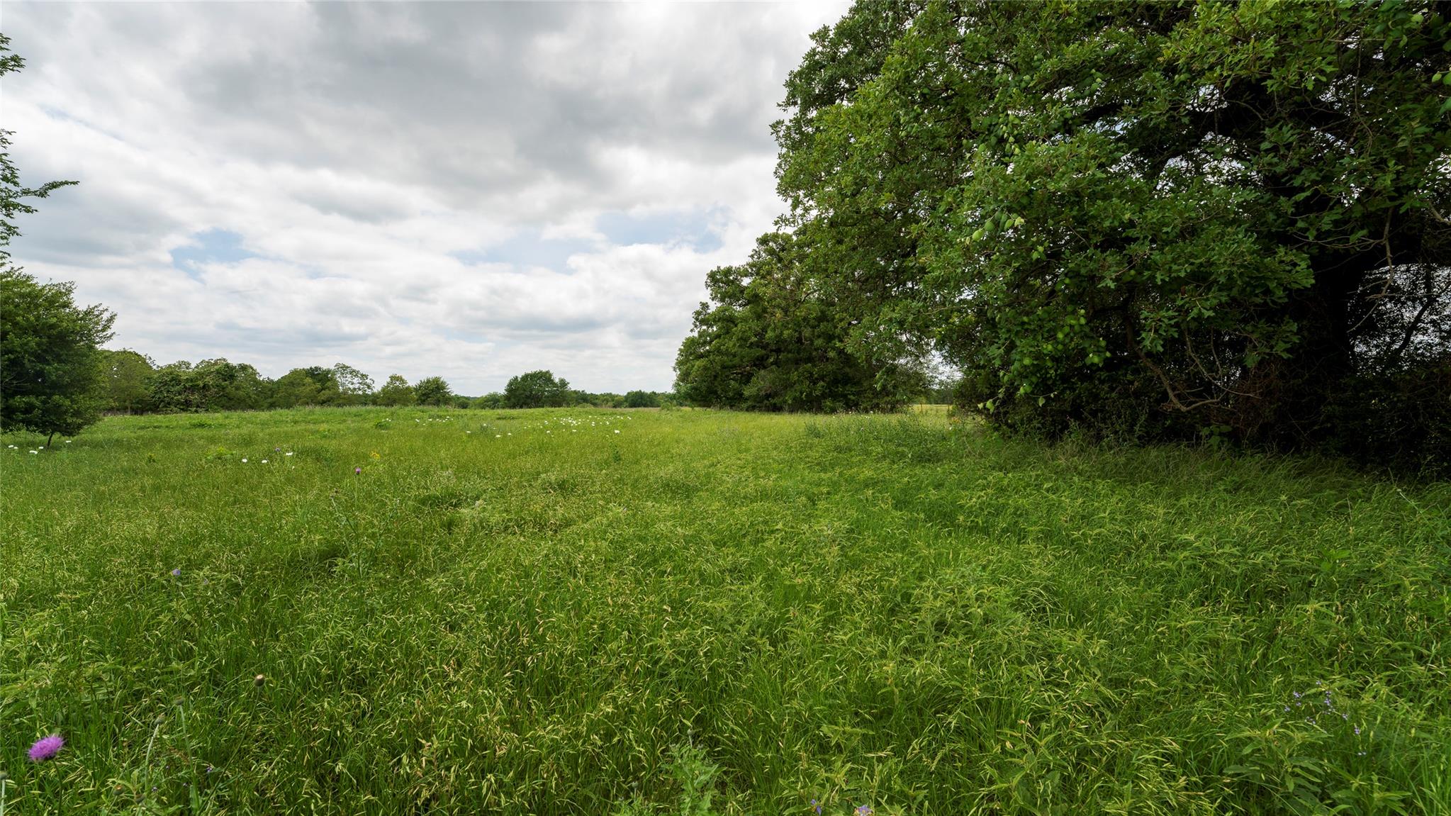Esmt County Road 302 None Property Photo 22