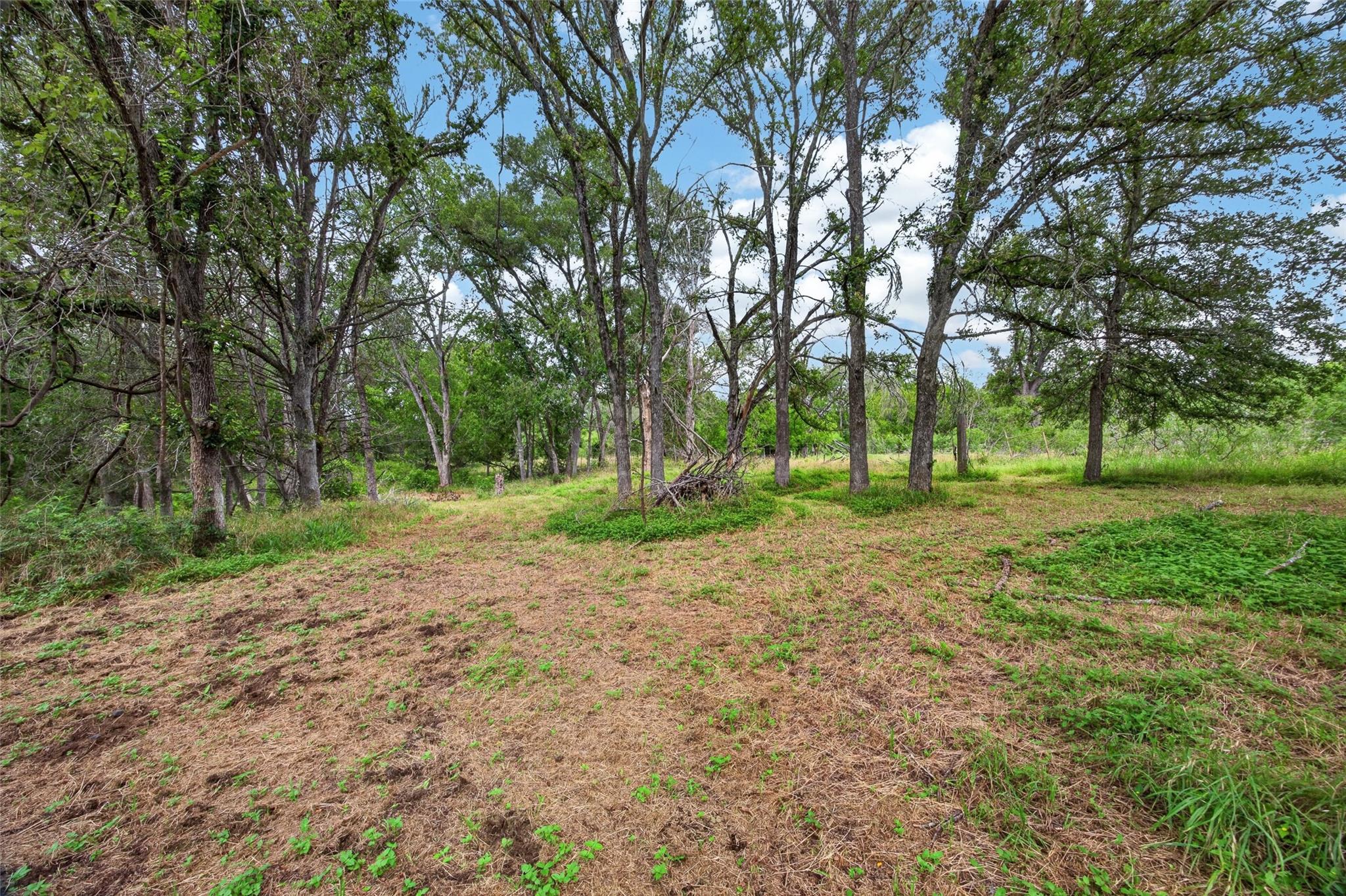 266 Beaver Rd Property Photo 24