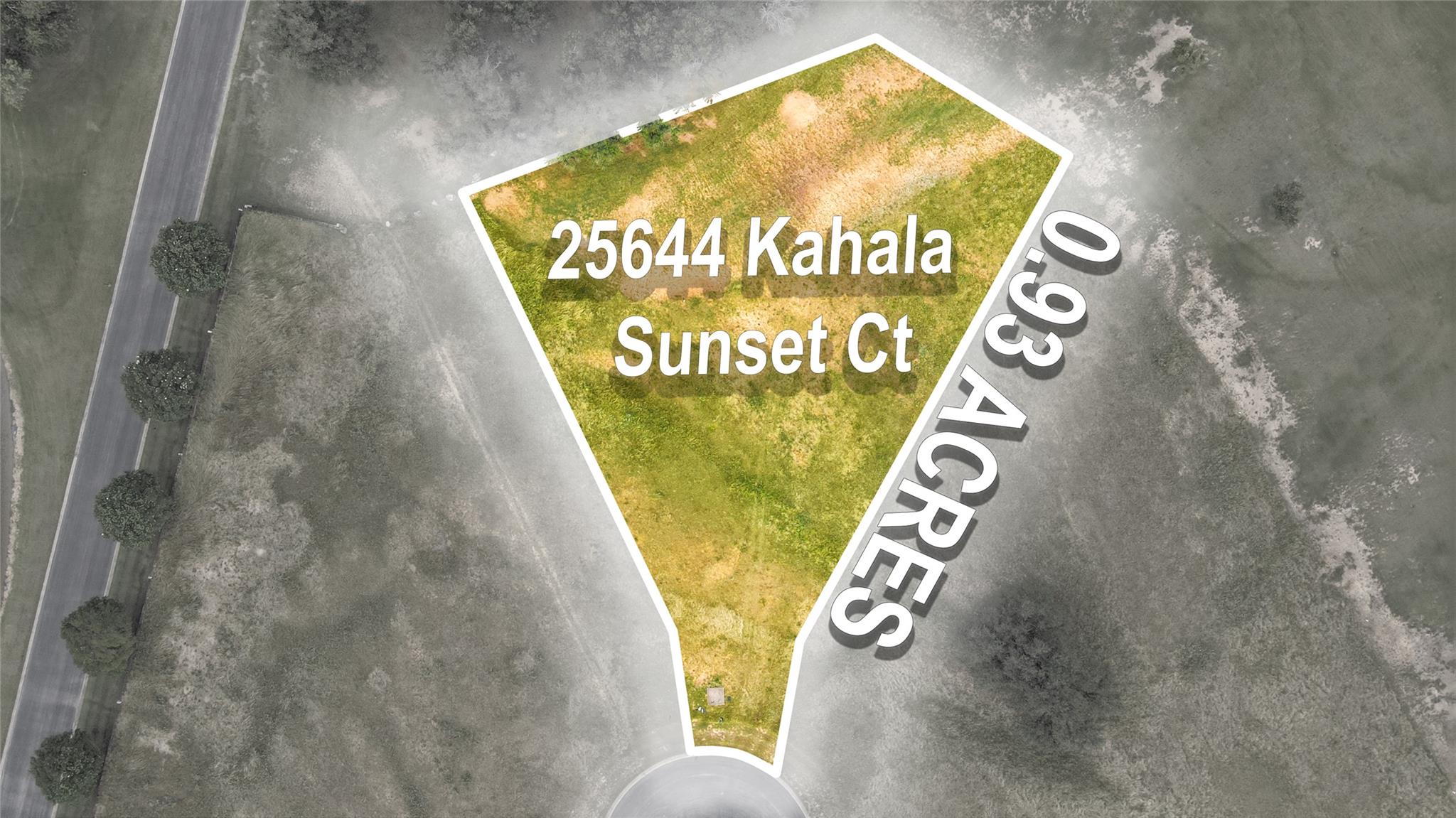 25644 Kahala Sunset Ct Property Photo 2