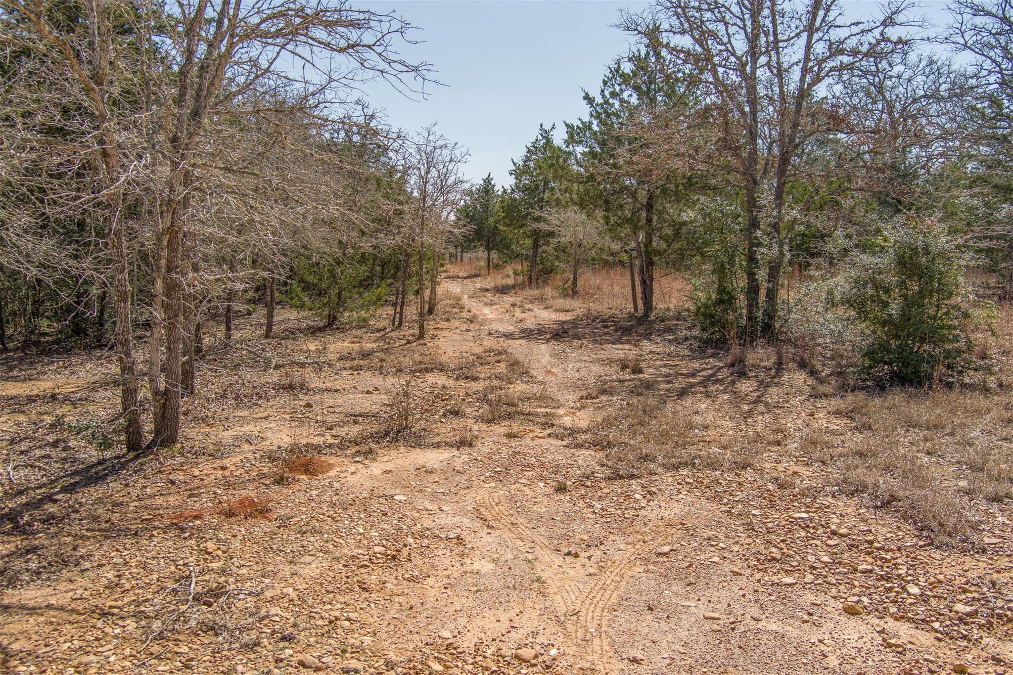 Tbd Edgewood Trl Property Photo 2