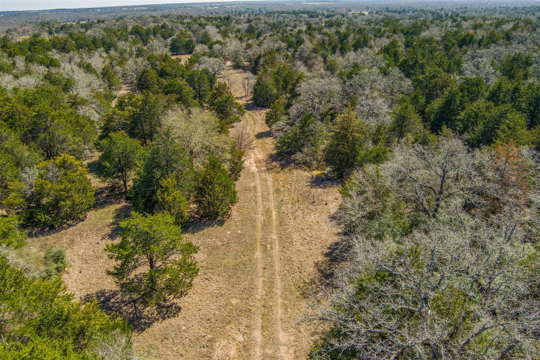 Tbd Edgewood Trl Property Photo 3