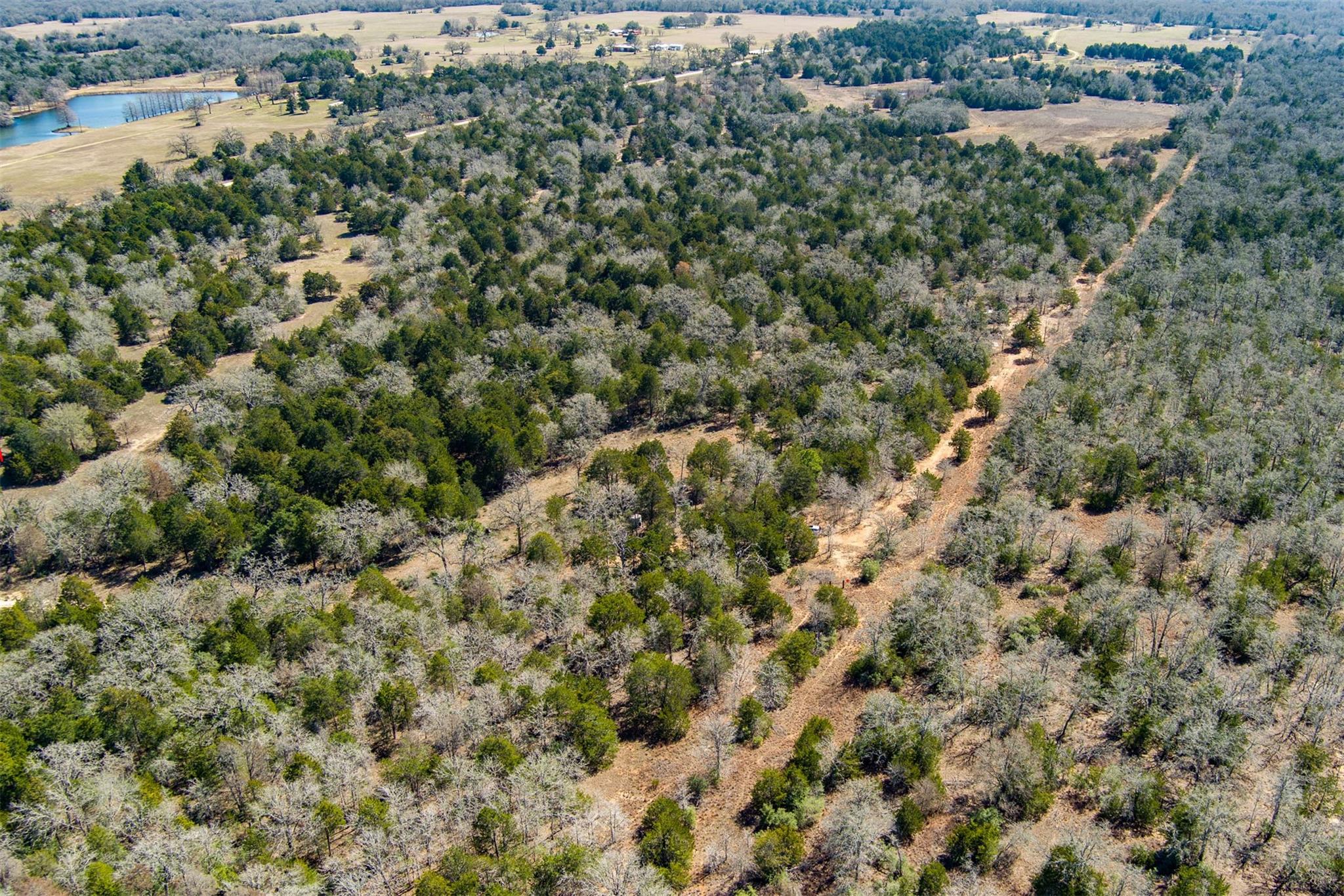 Tbd Edgewood Trl Property Photo 5