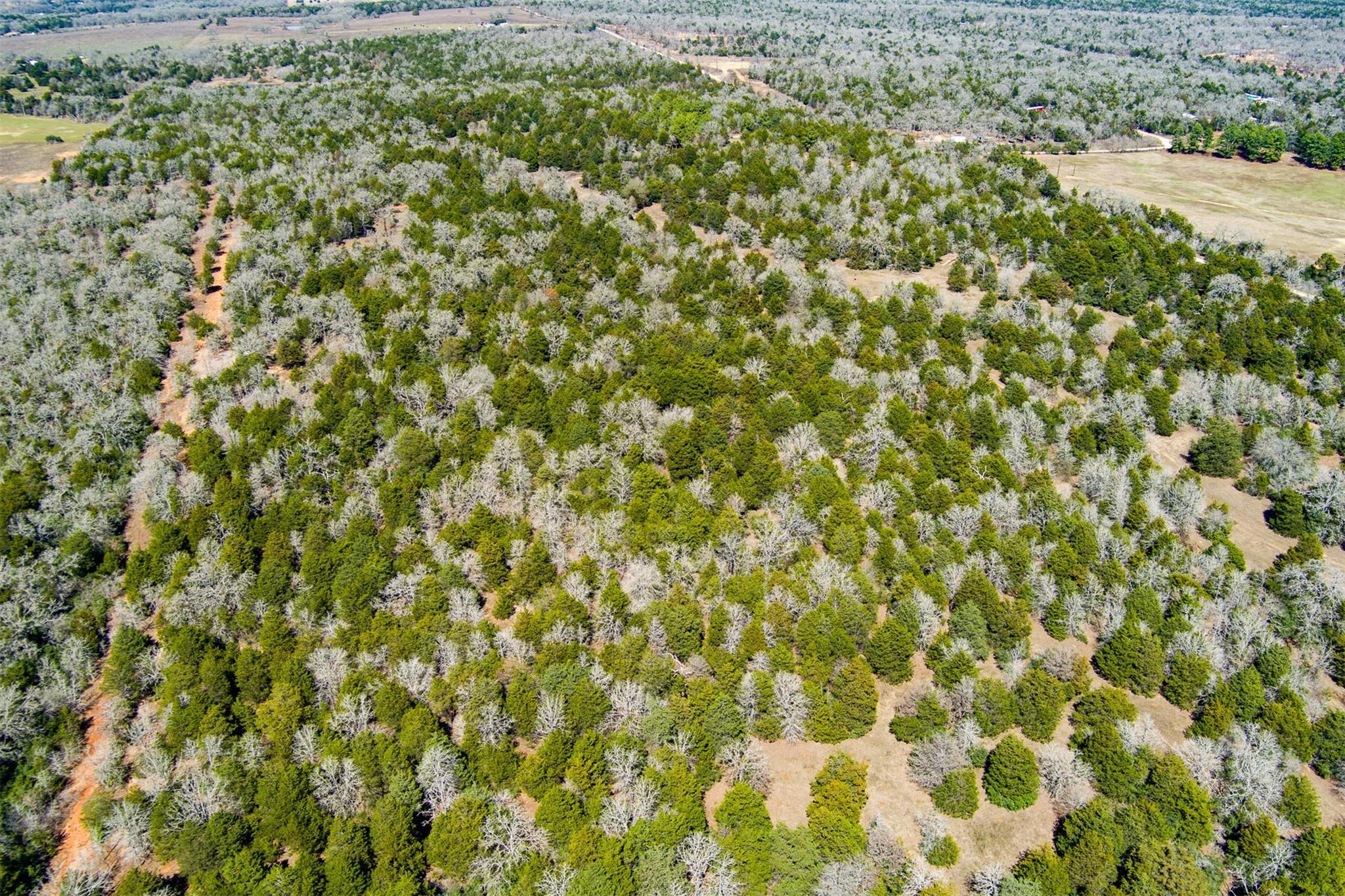 Tbd Edgewood Trl Property Photo 9