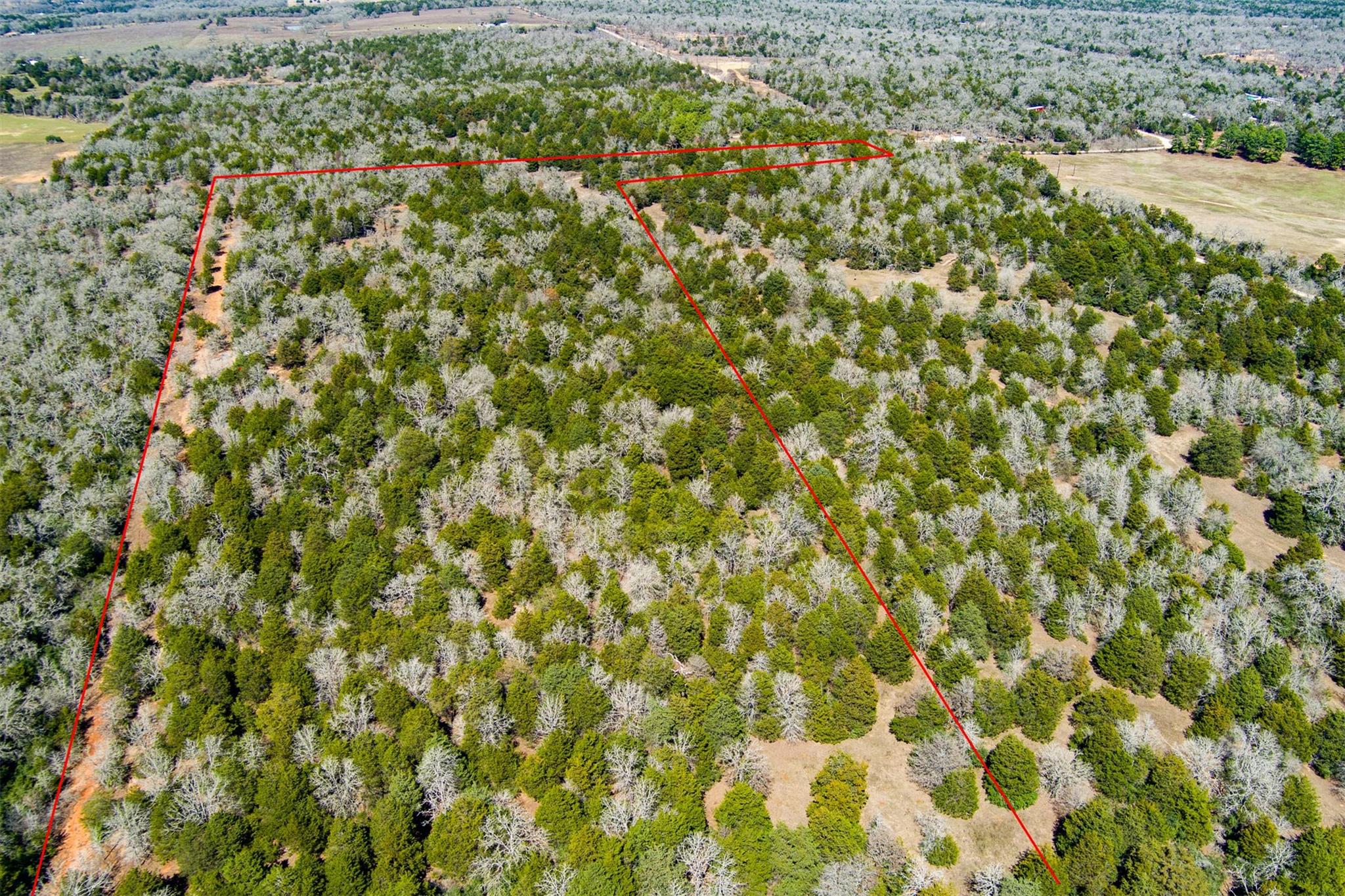 Tbd Edgewood Trl Property Photo 10