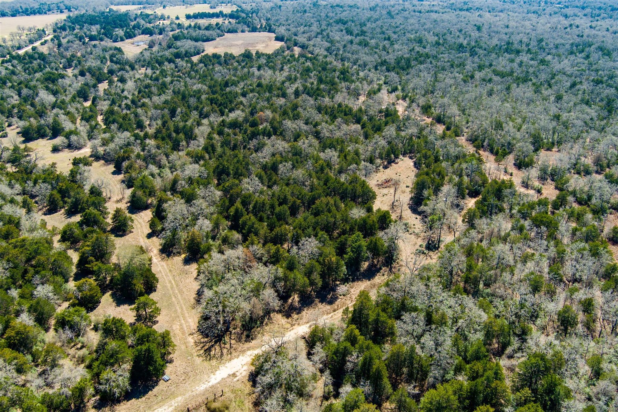 Tbd Edgewood Trl Property Photo 12