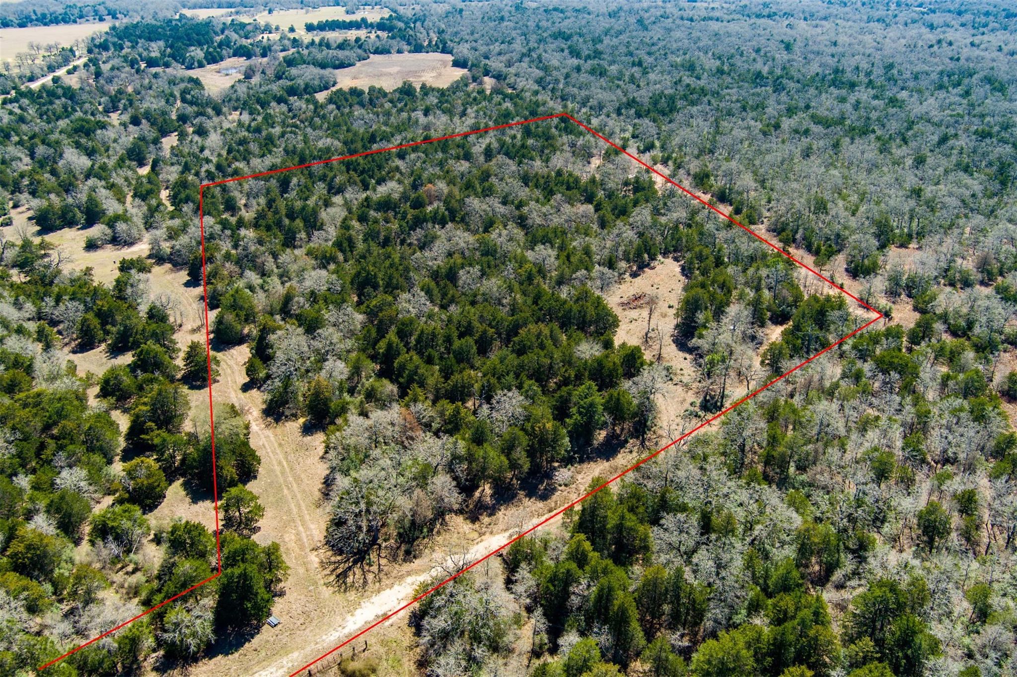 Tbd Edgewood Trl Property Photo 13