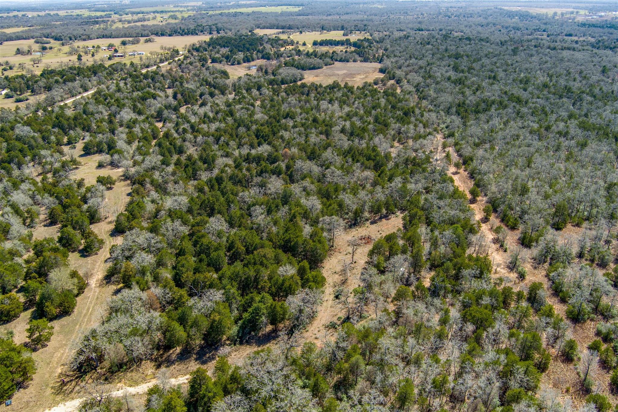 Tbd Edgewood Trl Property Photo 17