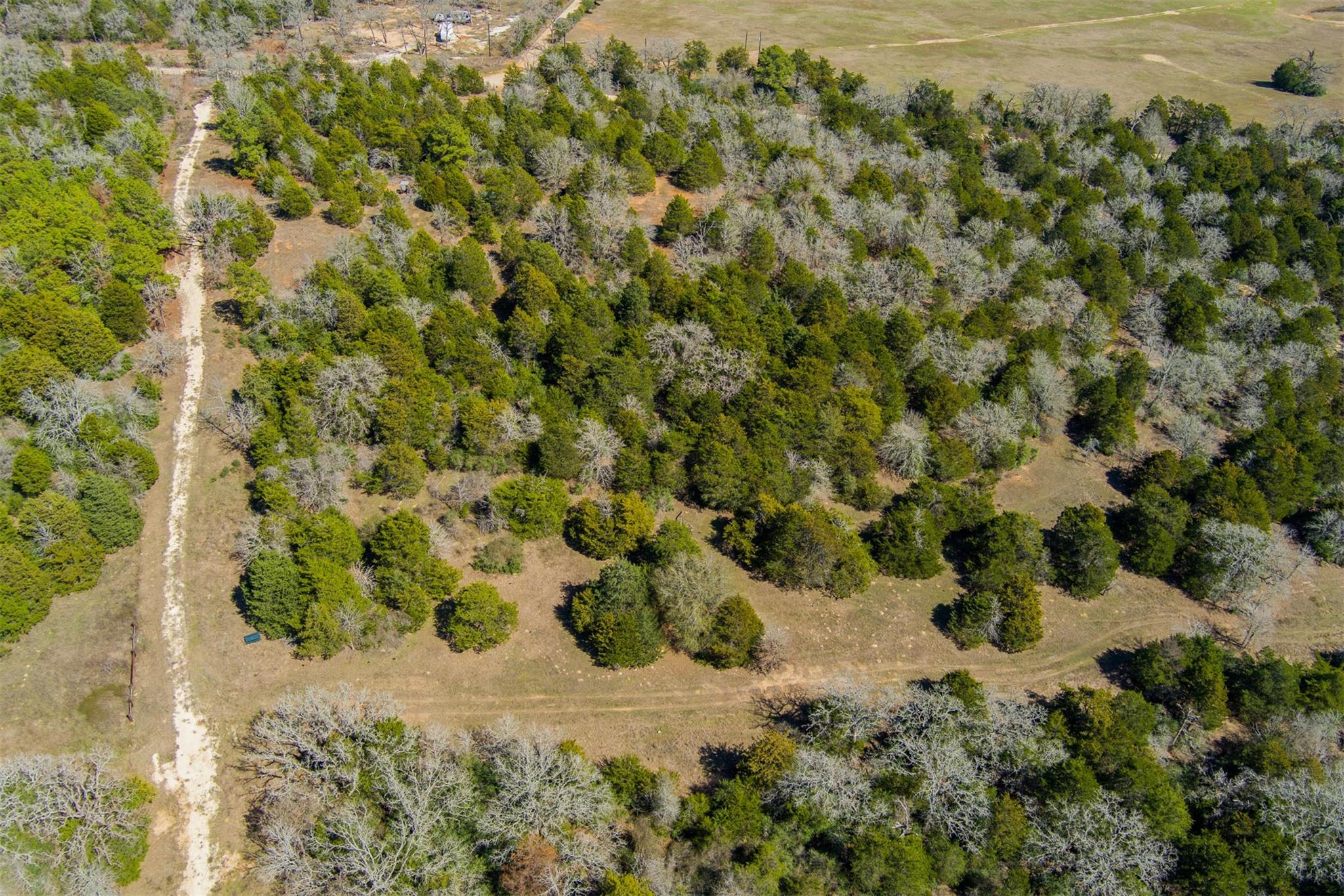 Tbd Edgewood Trl Property Photo 19