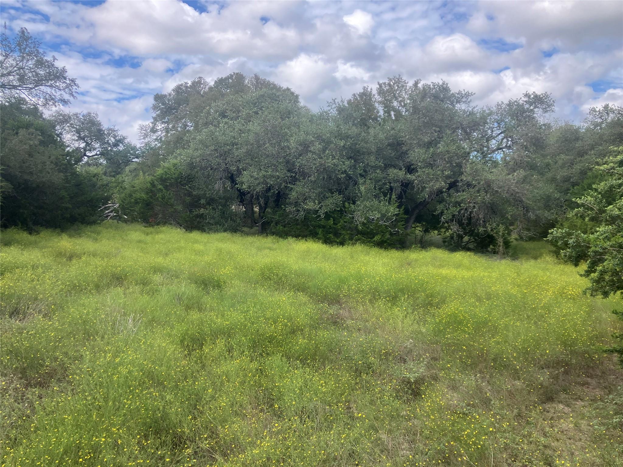 26528 Post Oak Bend Loop Property Photo 5