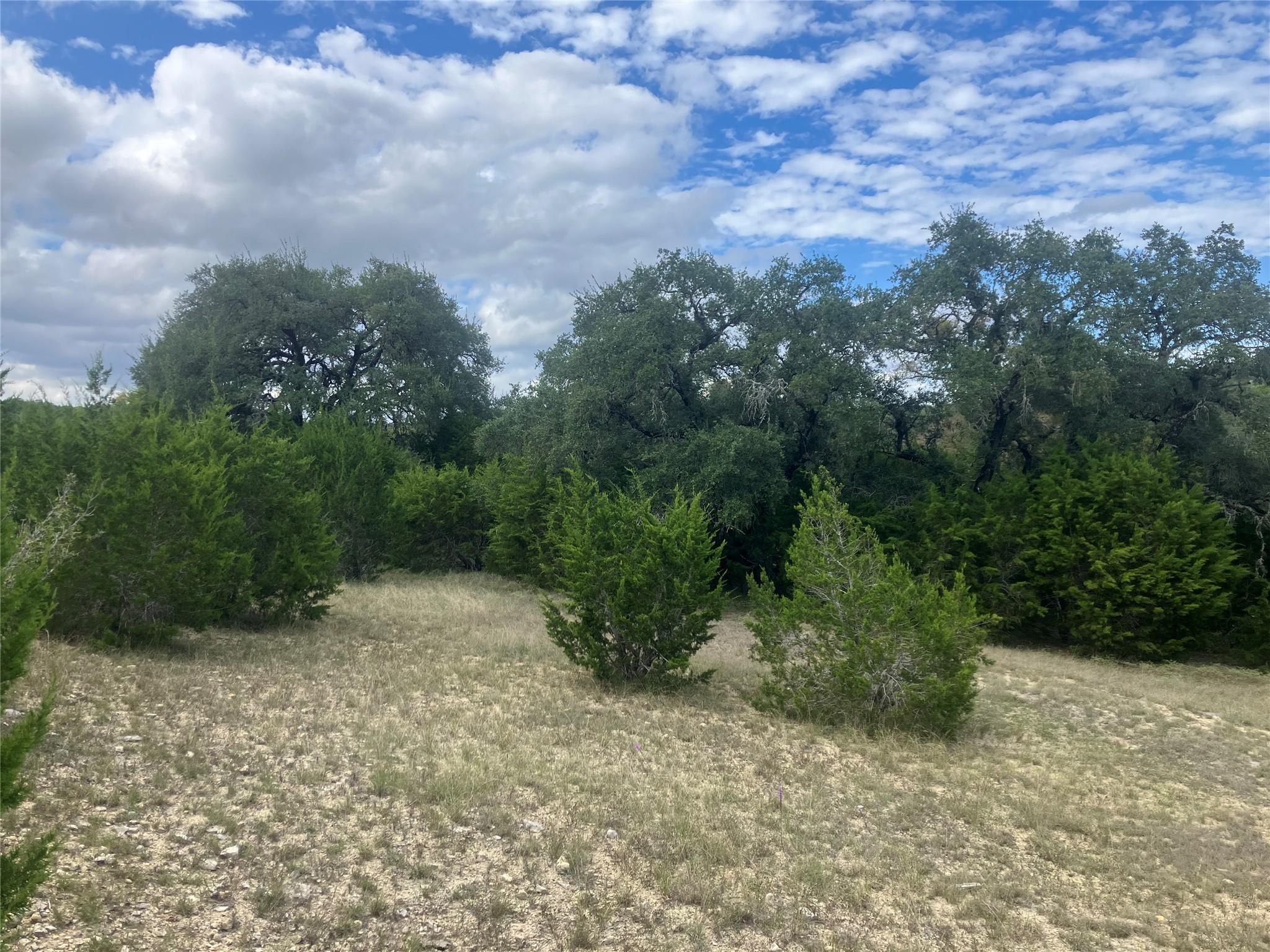 26528 Post Oak Bend Loop Property Photo 29
