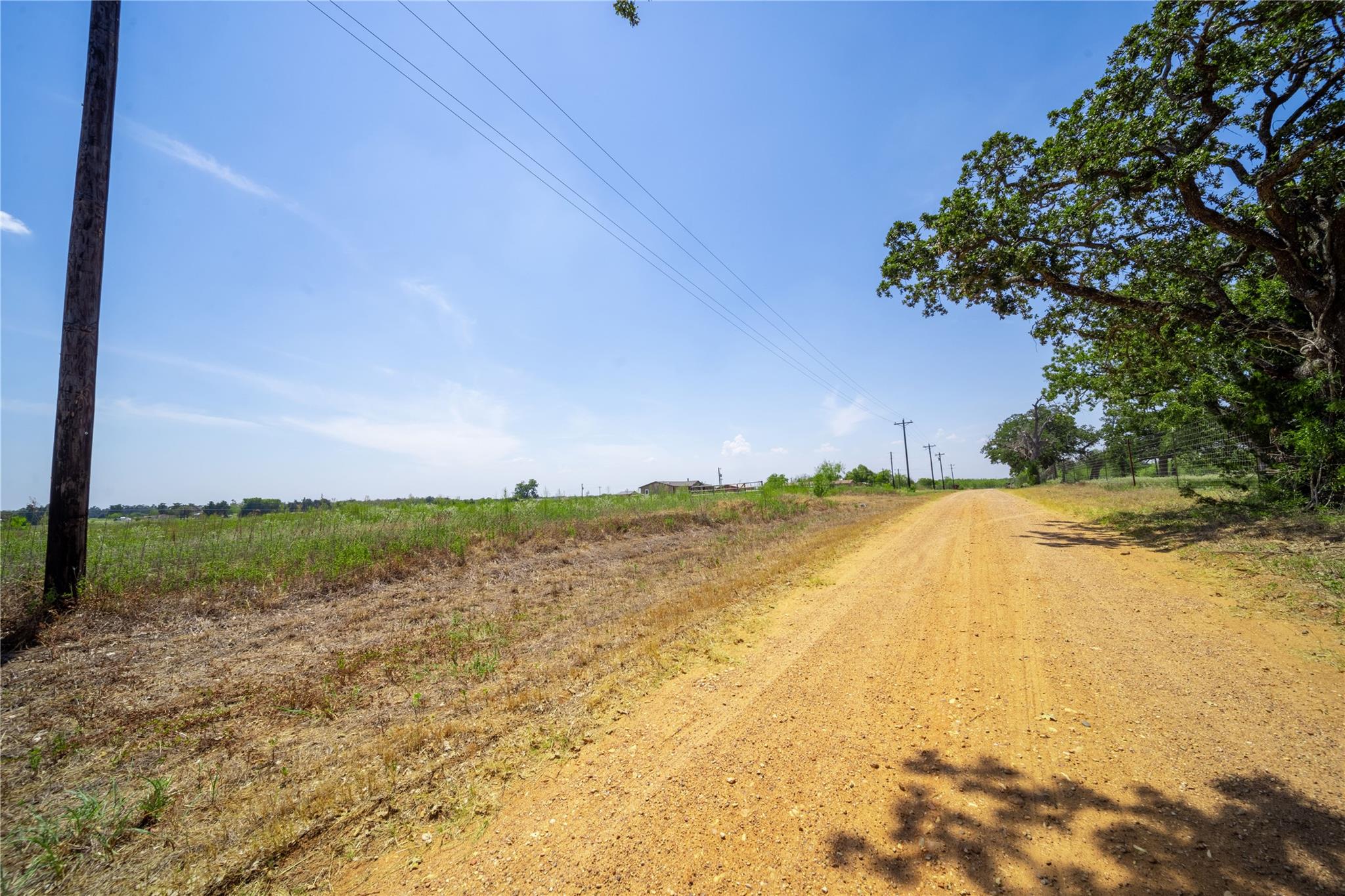 3902 County Road 270 Rd Property Photo 11