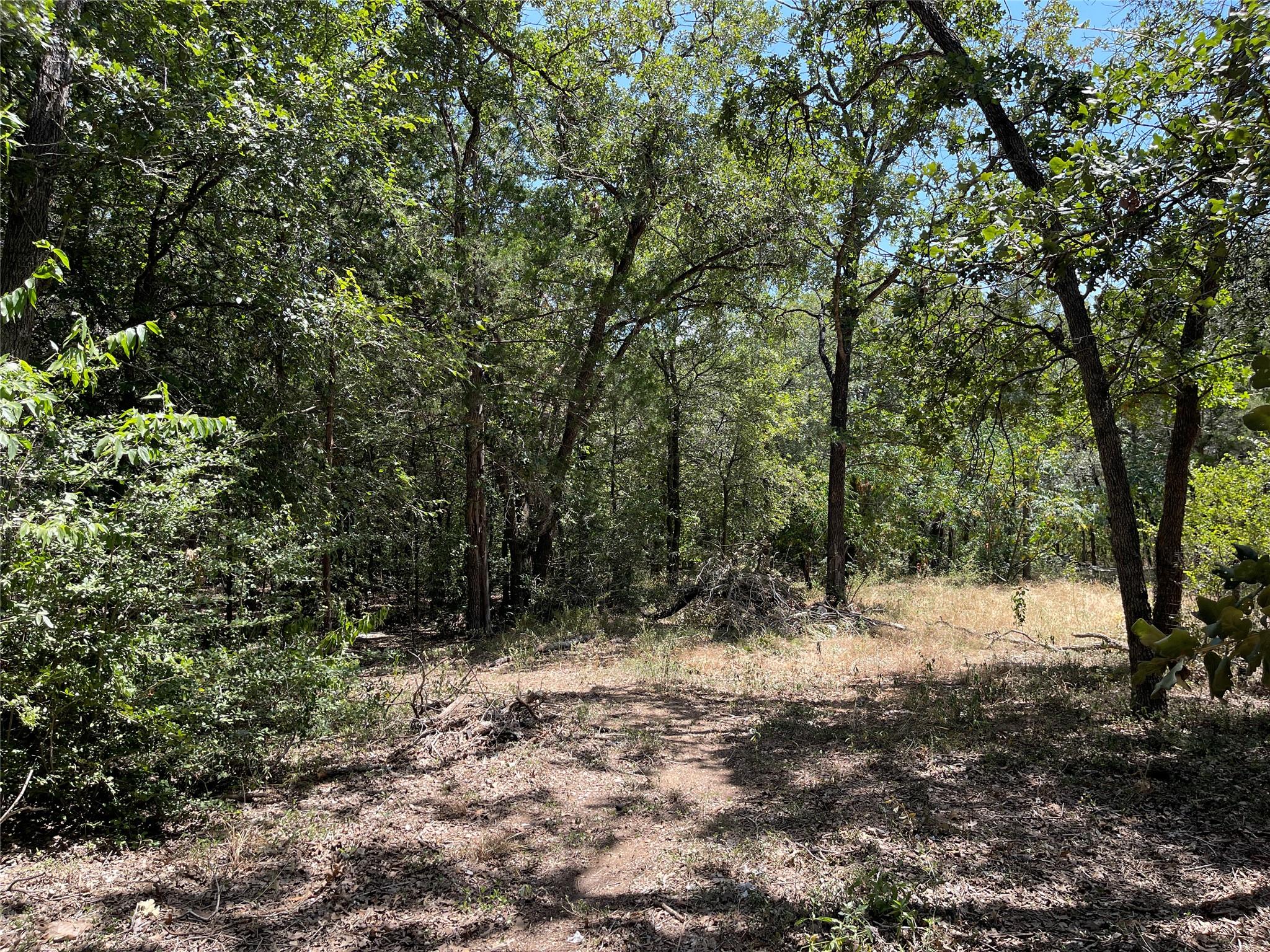 109 High View Ranch Dr Property Photo 20