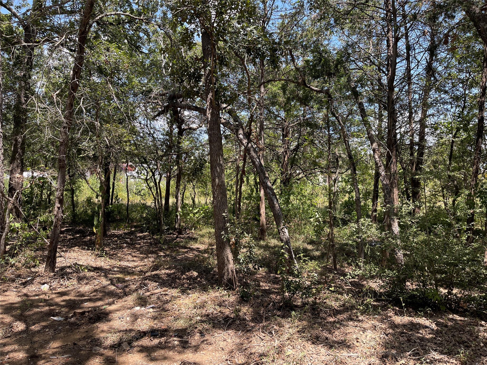 109 High View Ranch Dr Property Photo 22