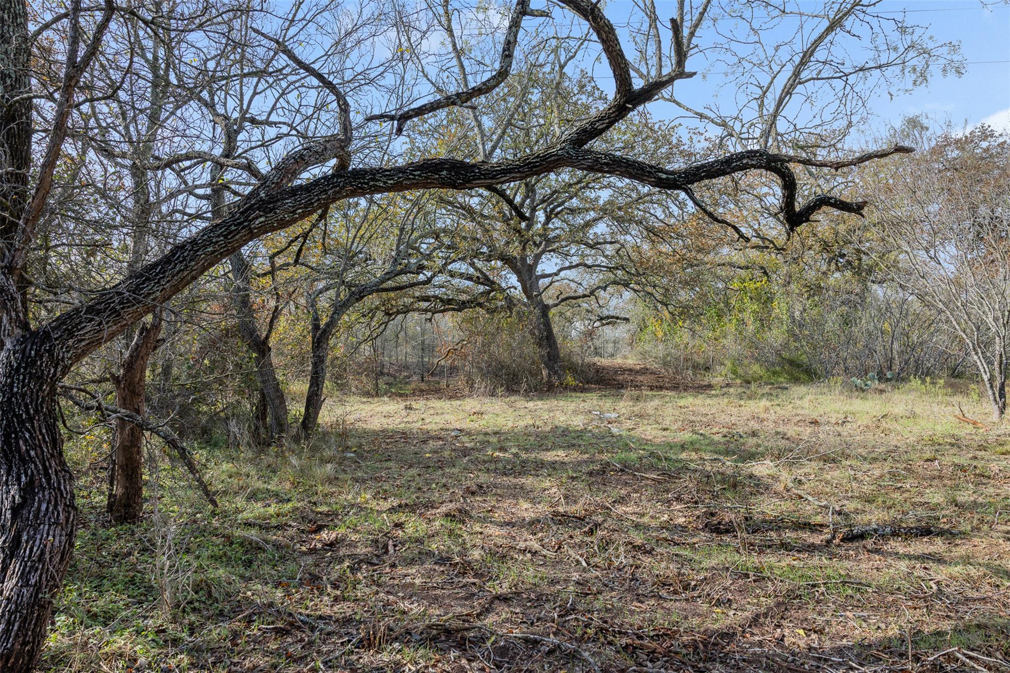1088 Bugtussle Ln Property Photo 1