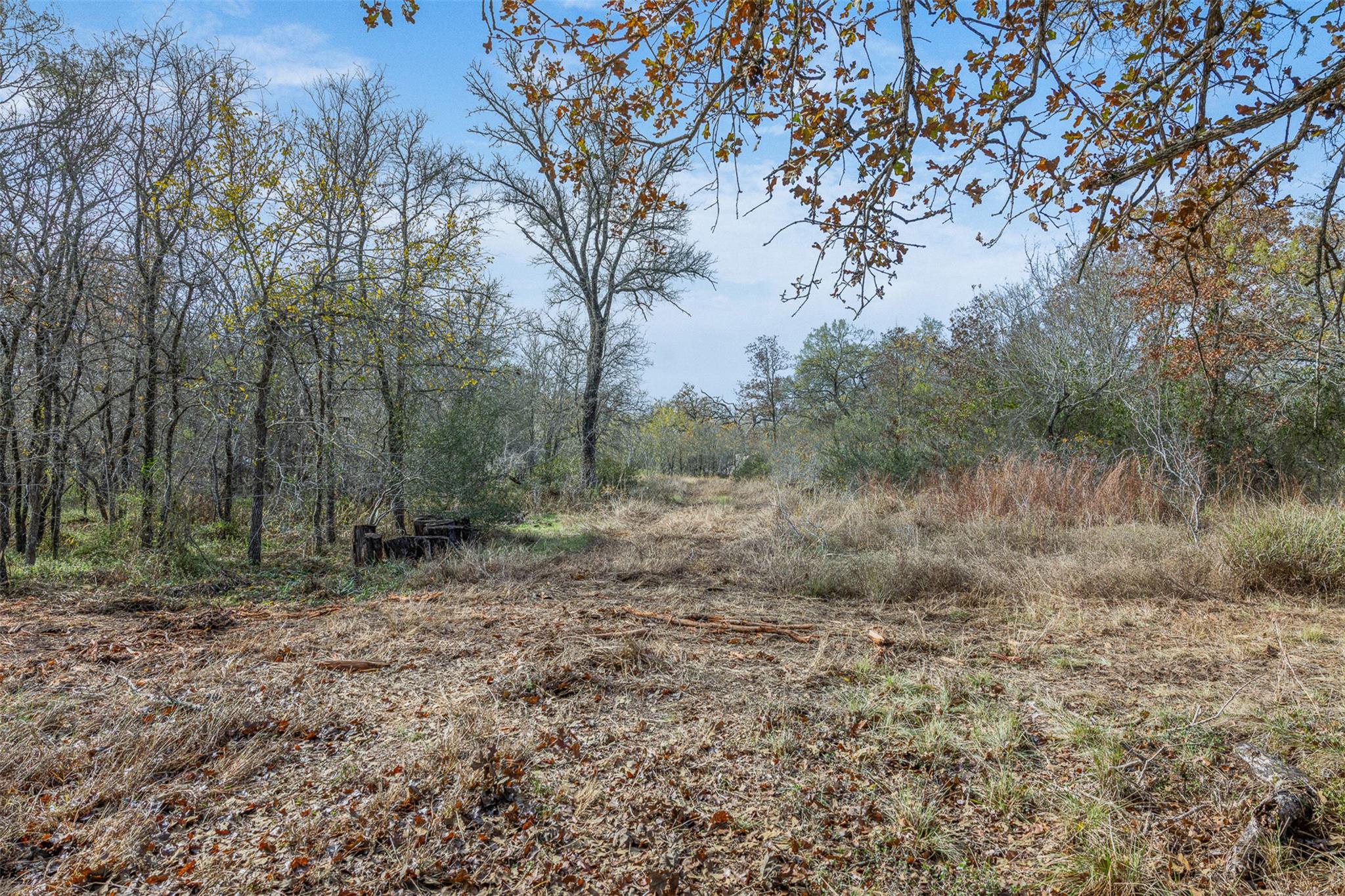 1088 Bugtussle Ln Property Photo 5
