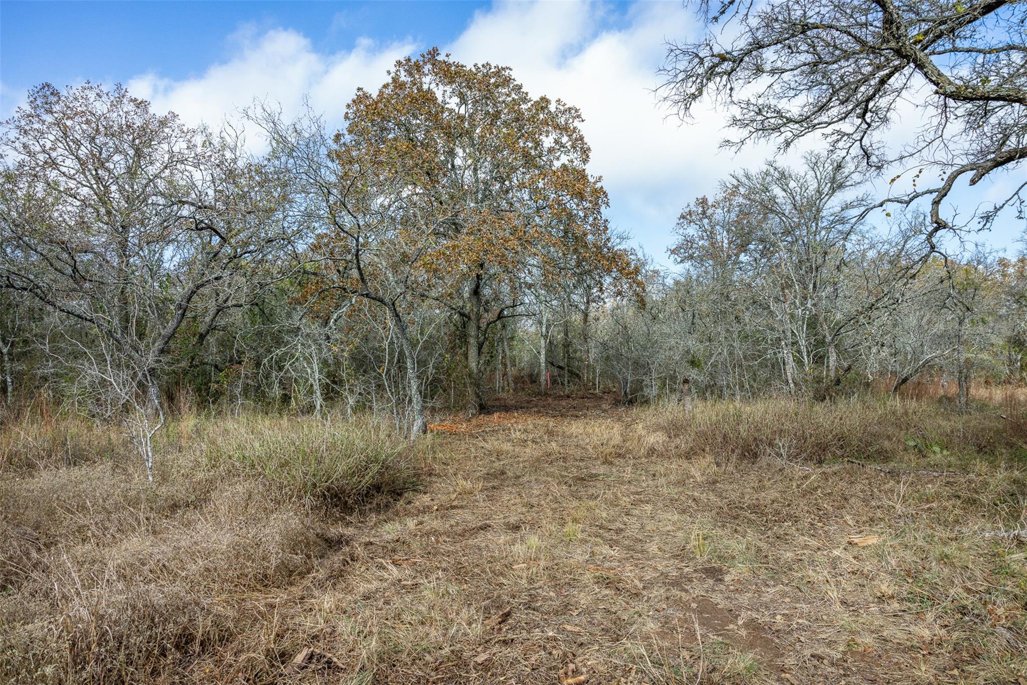 1088 Bugtussle Ln Property Photo 6