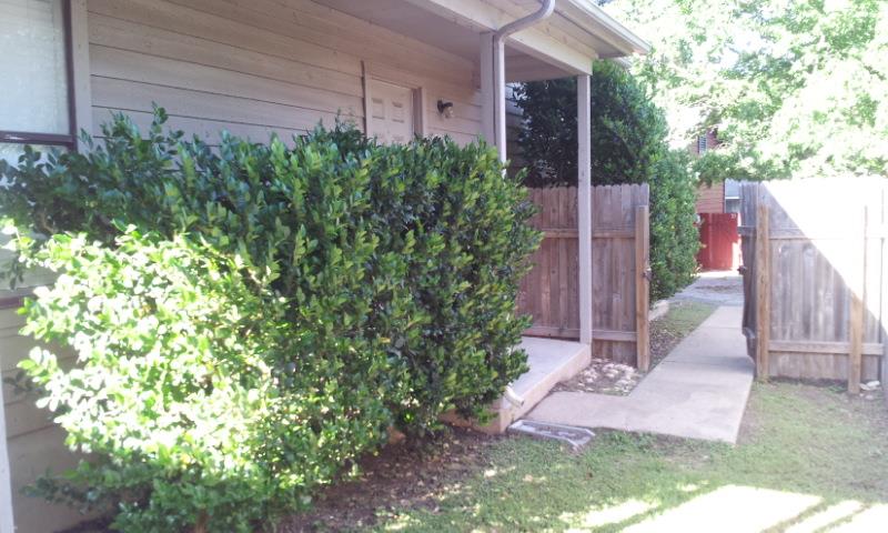 8807 Schick Rd #d Property Photo 3