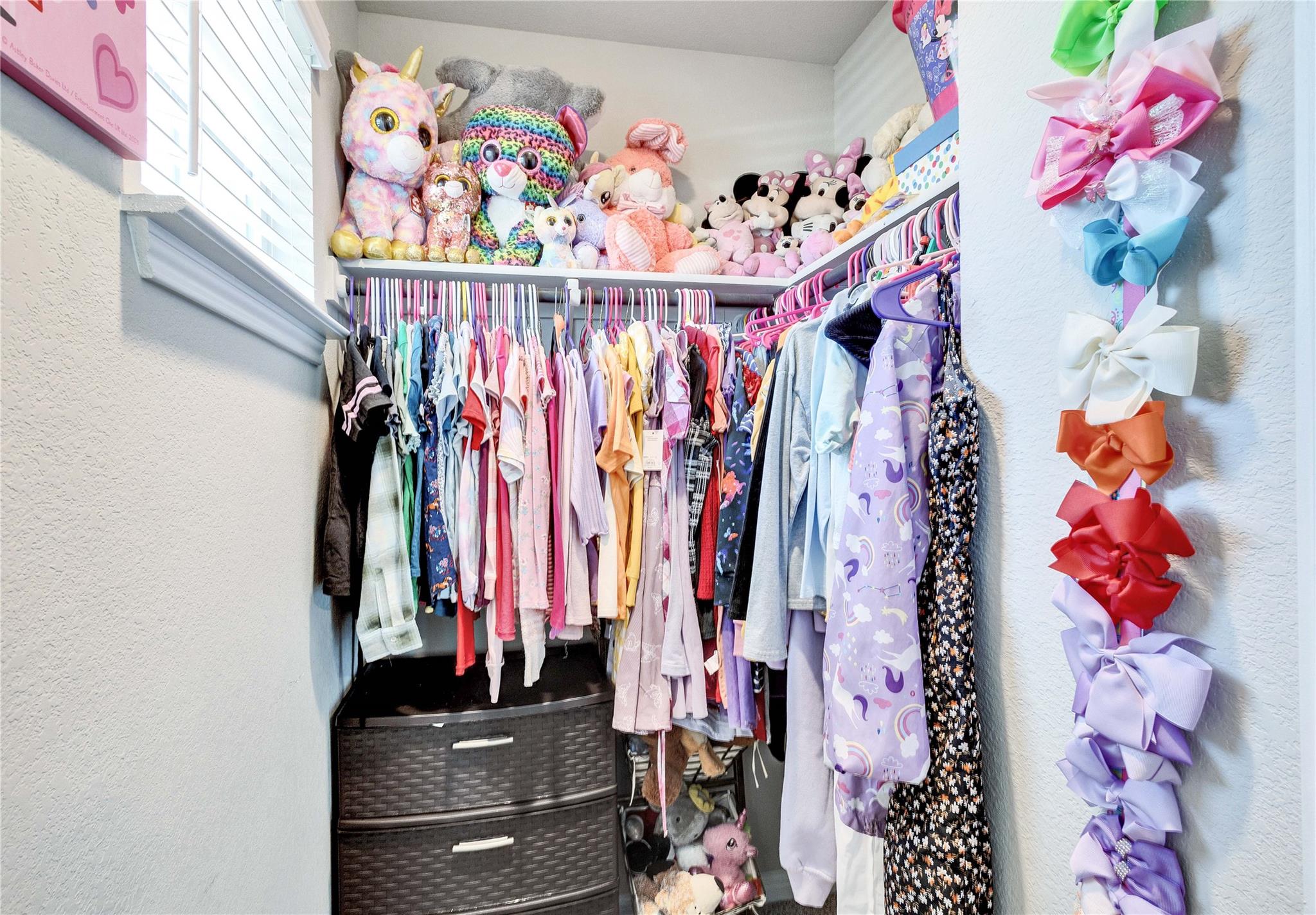 348 Empress Tree Dr Property Photo 15