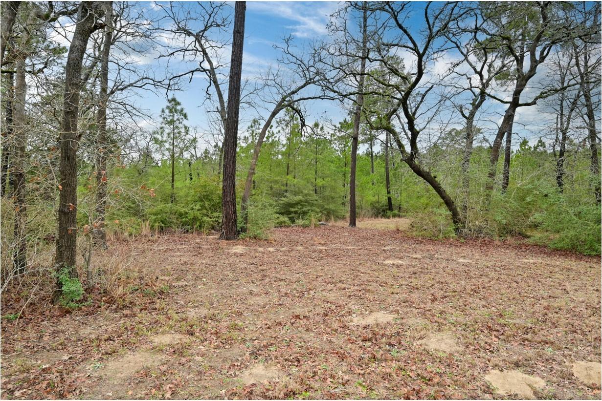 170 Woodland Ct Property Photo 35