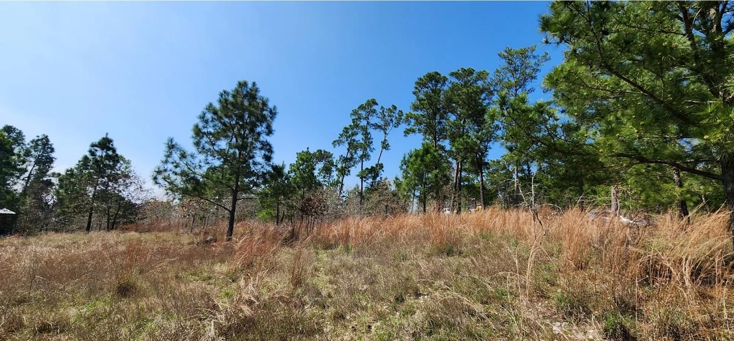 Tbd Oahu Ct Property Photo 2