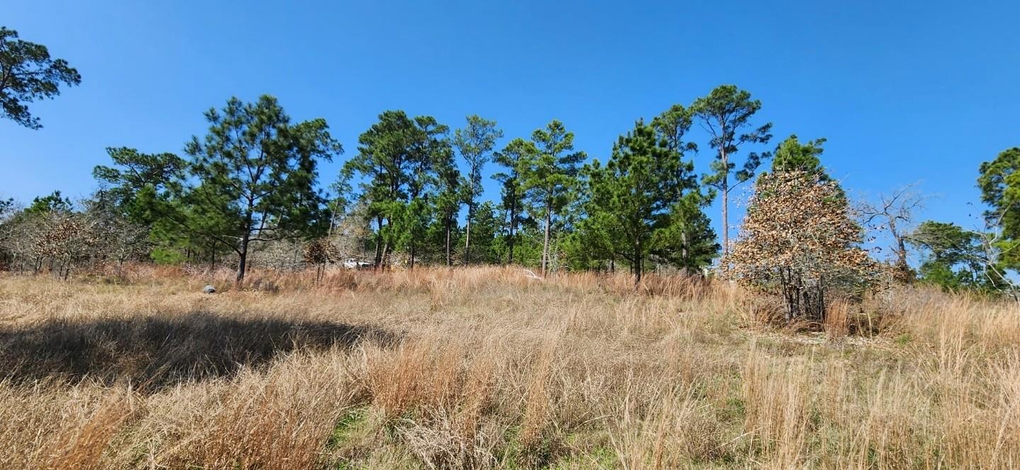 Tbd Oahu Ct Property Photo 3