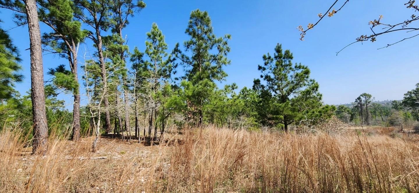 Tbd Oahu Ct Property Photo 4