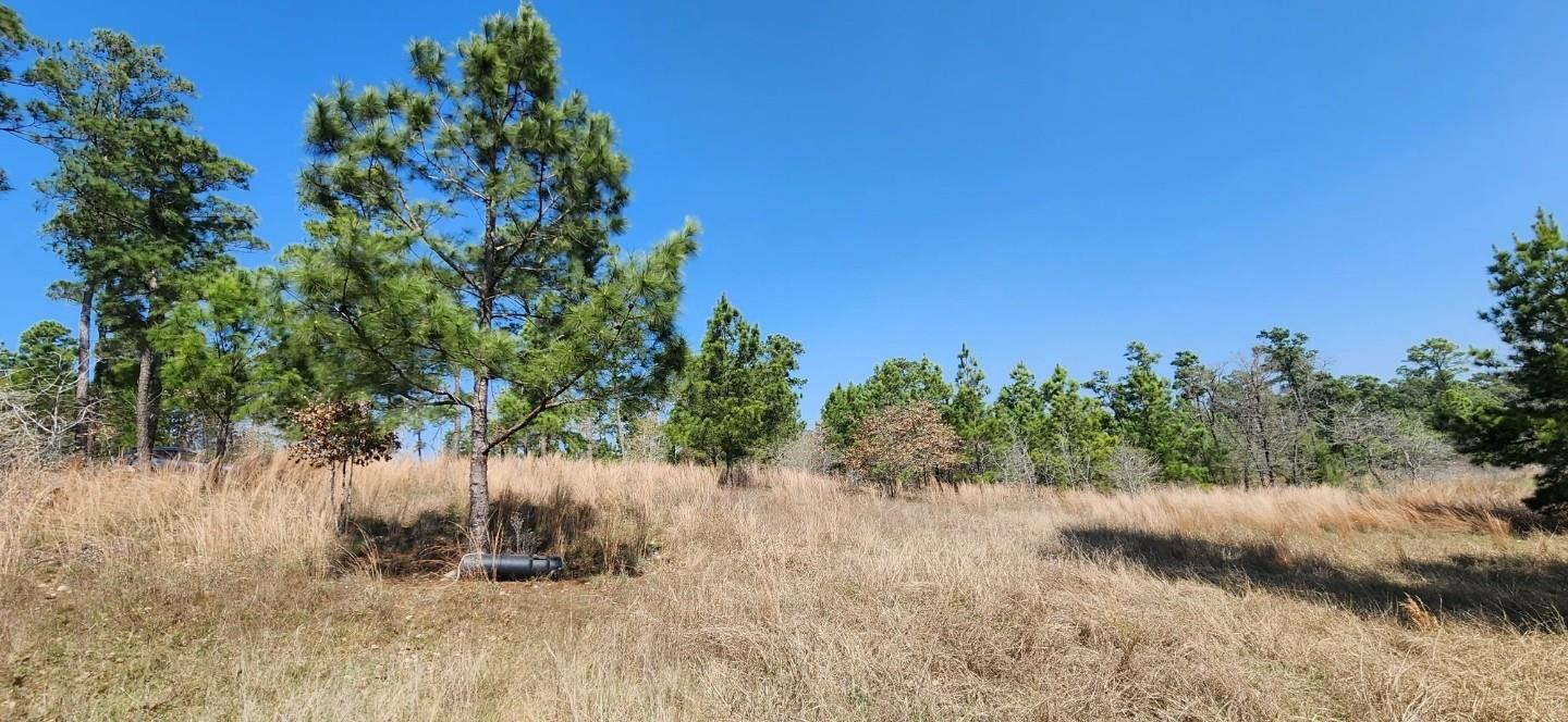 Tbd Oahu Ct Property Photo 5