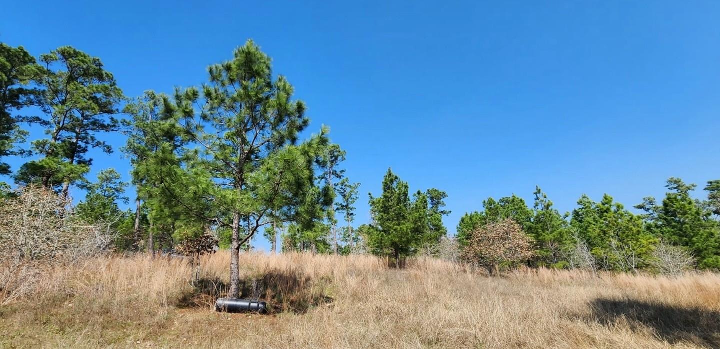 Tbd Oahu Ct Property Photo 6