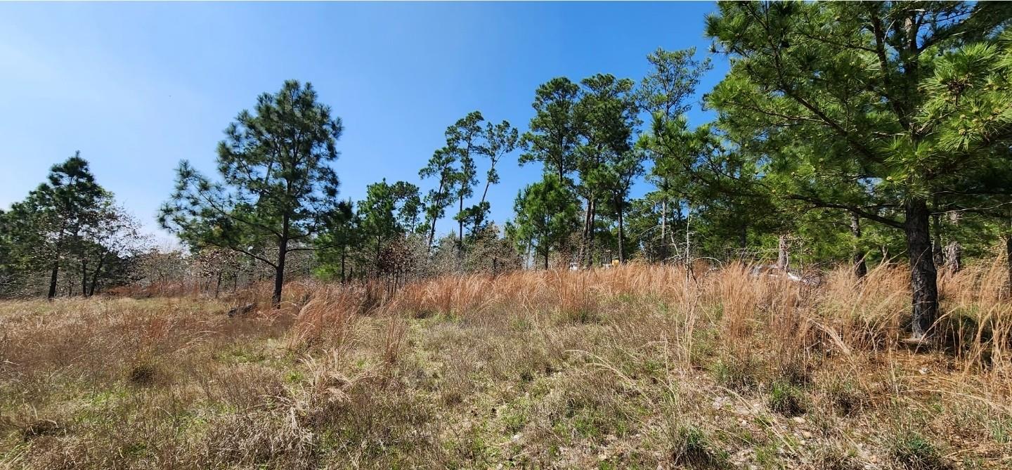 Tbd Oahu Ct Property Photo 8