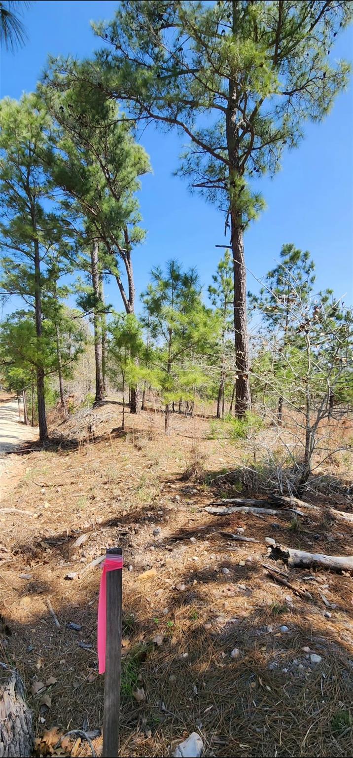 Tbd Oahu Ct Property Photo 11