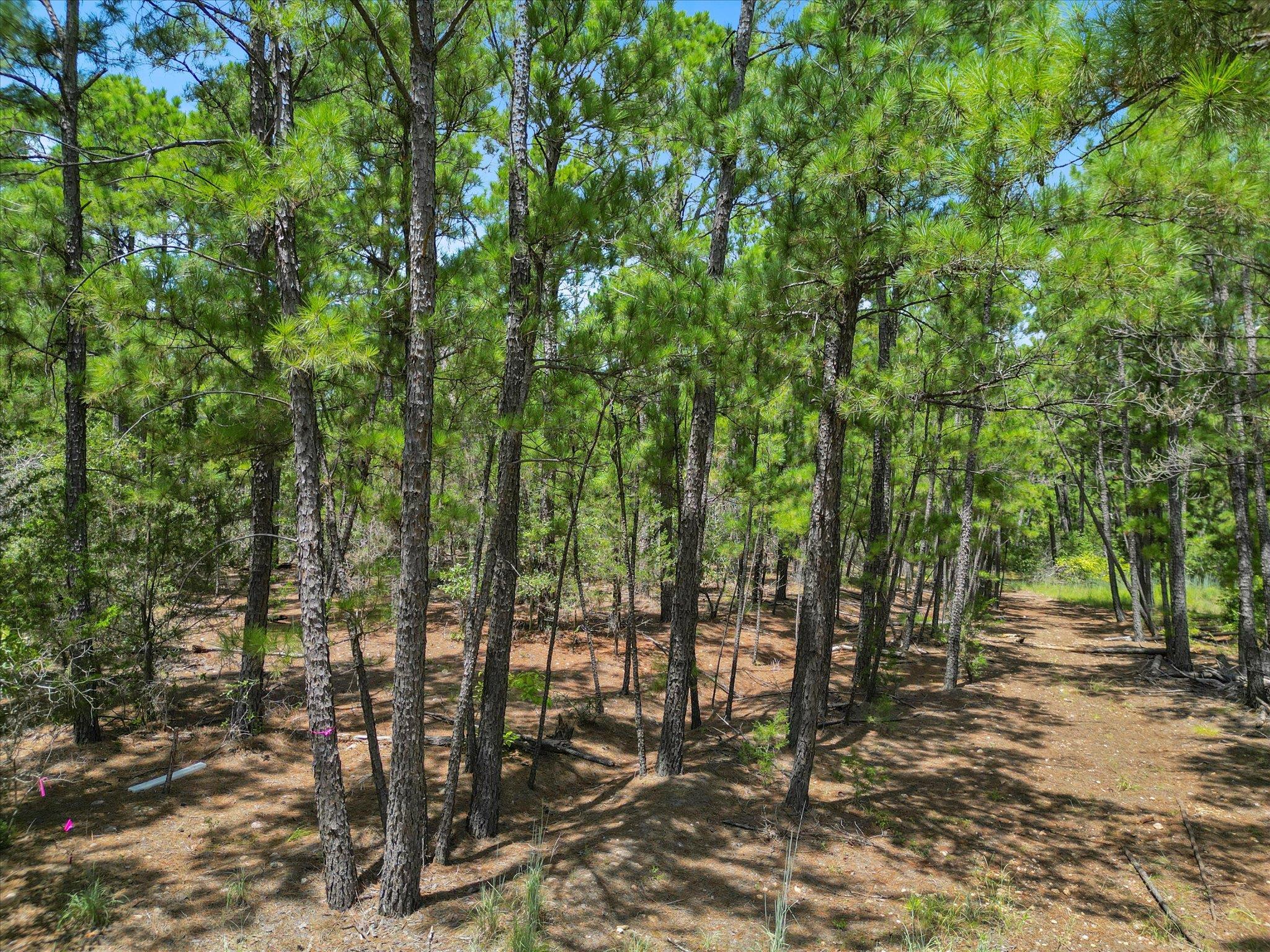 Lot 54 Akala Ln Property Photo 1