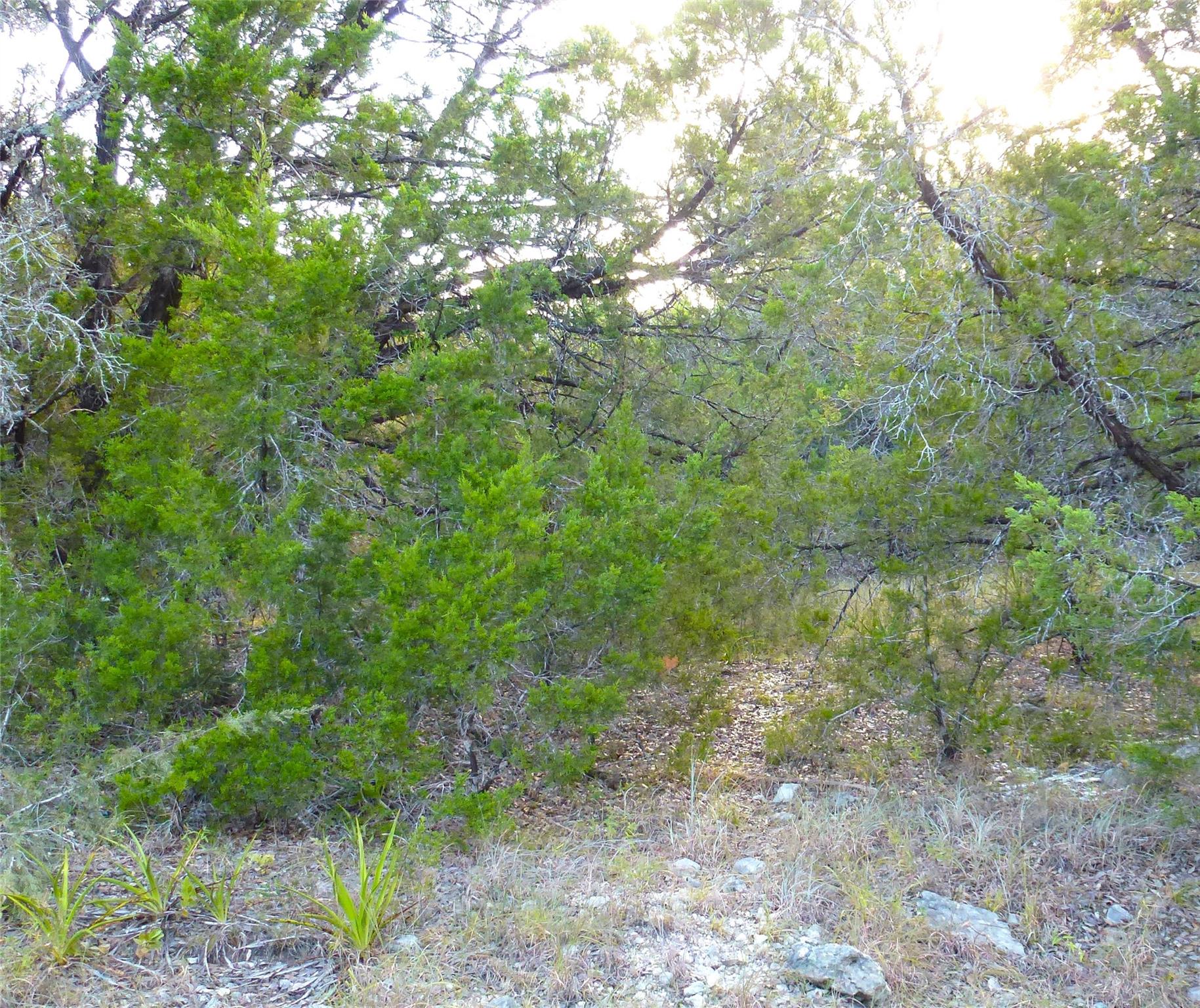 6302 Deer Run None Property Photo 4