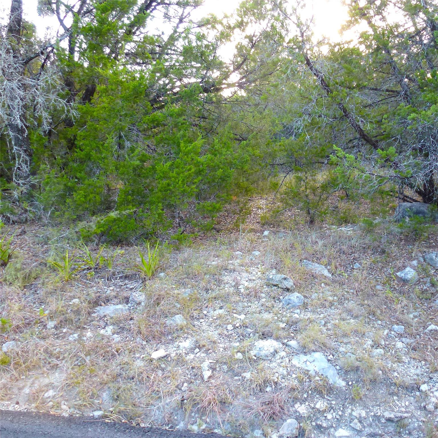 6302 Deer Run None Property Photo 6