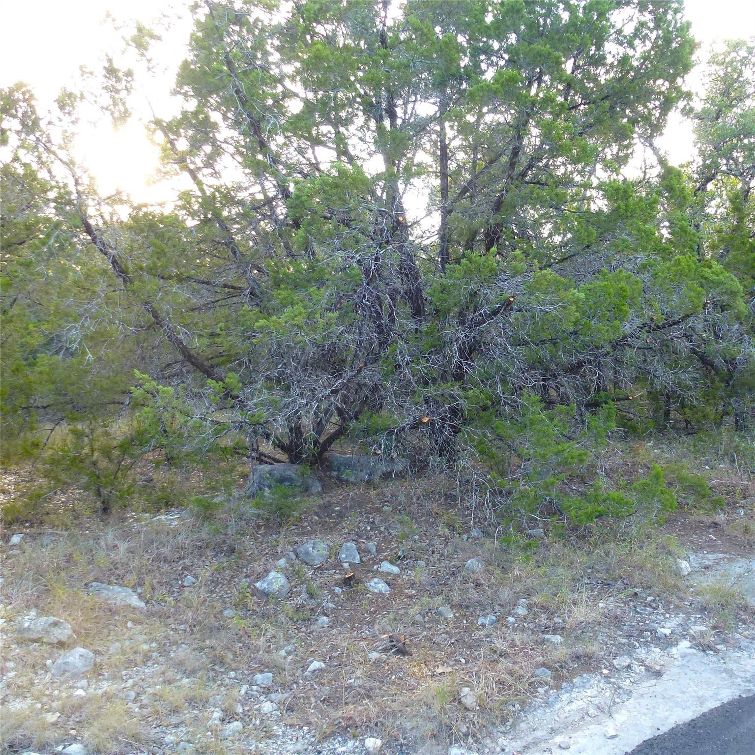6302 Deer Run None Property Photo 7