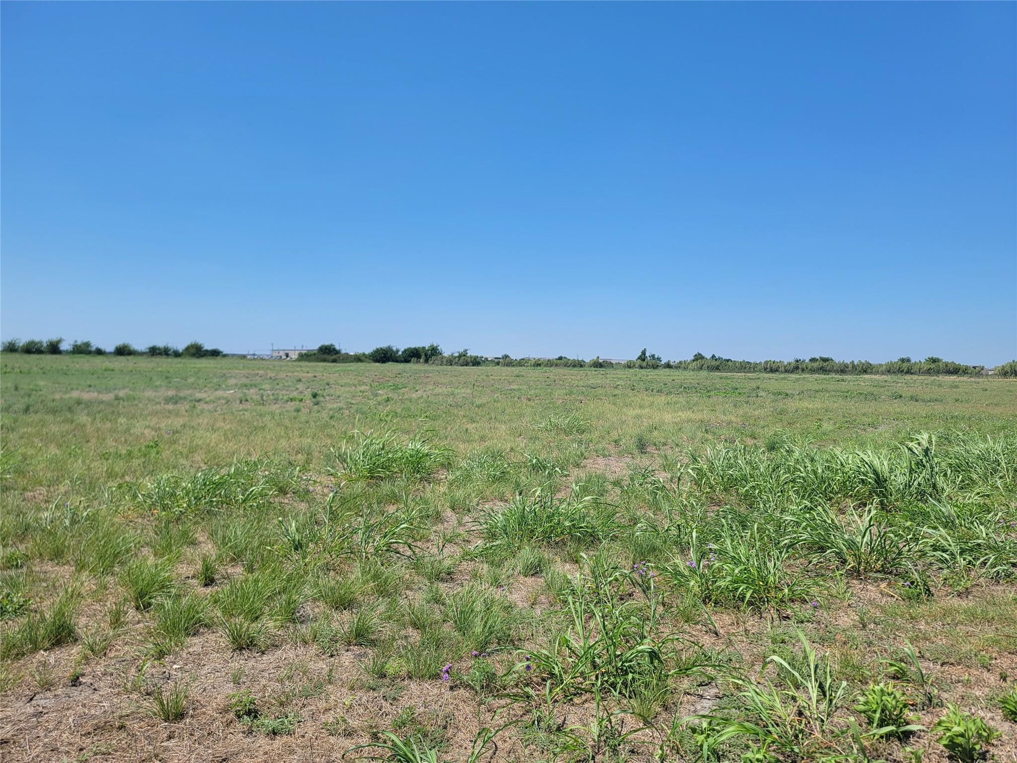 2315 Limmer Loop Property Photo 2