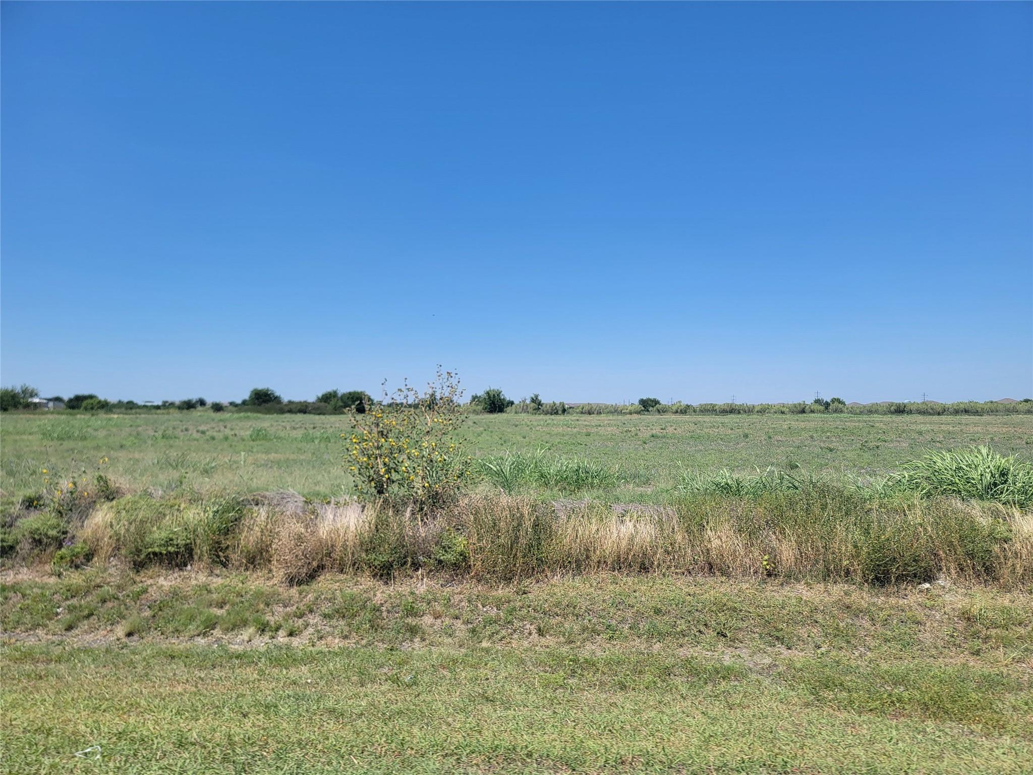 2315 Limmer Loop Property Photo 5