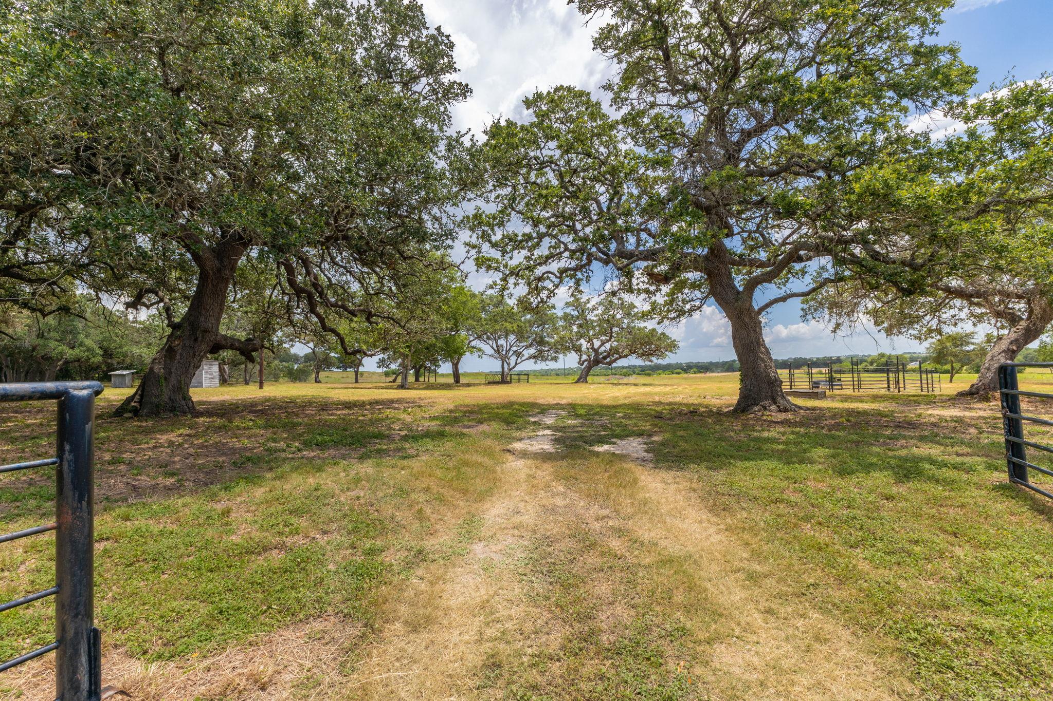 2160 (tract #5) Baca Loop Property Photo 1