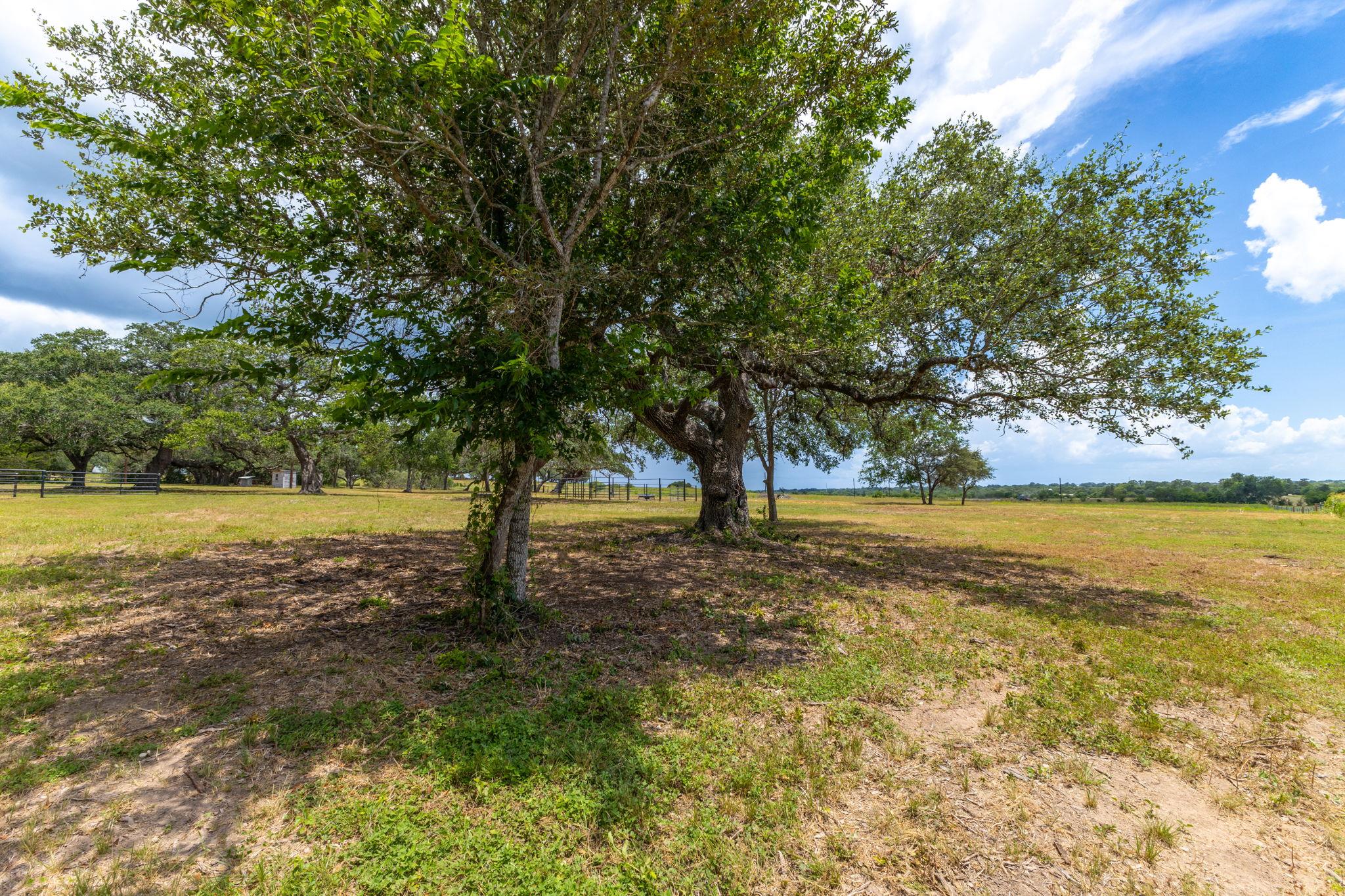 2160 (tract #5) Baca Loop Property Photo 5