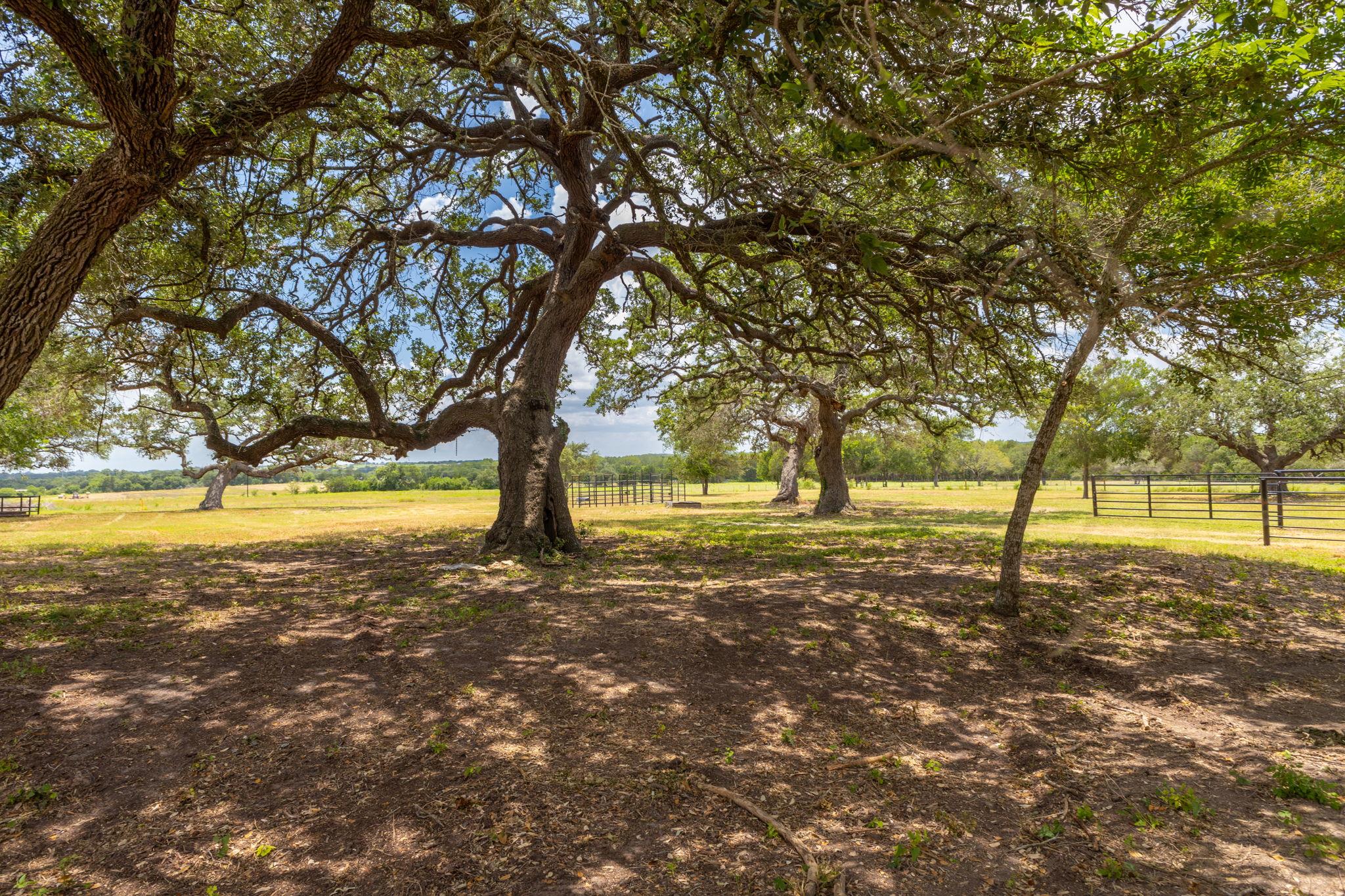 2160 (tract #5) Baca Loop Property Photo 7