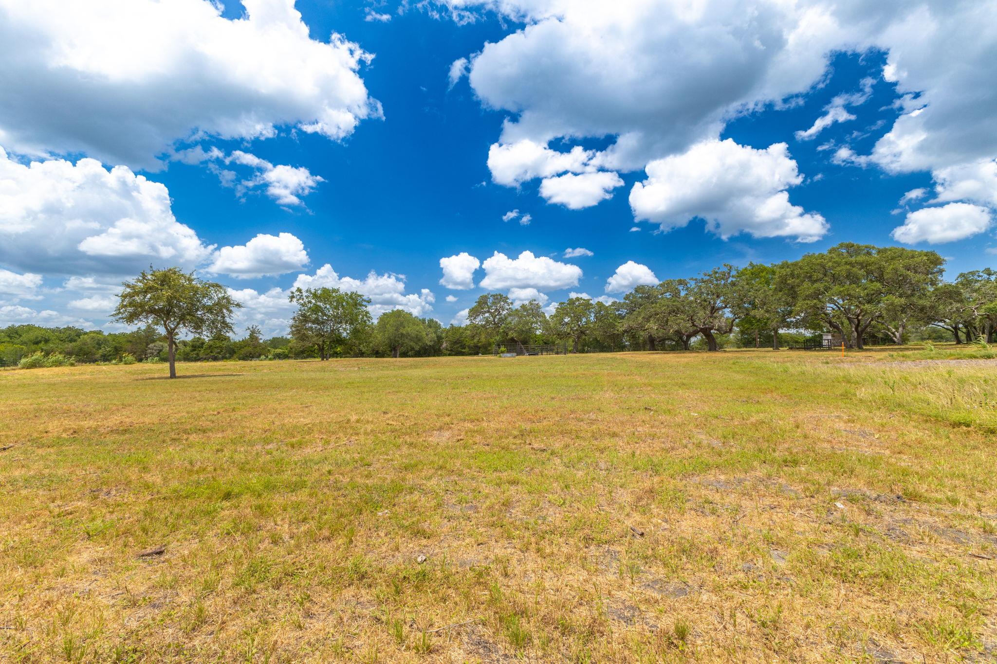 2160 (tract #5) Baca Loop Property Photo 13