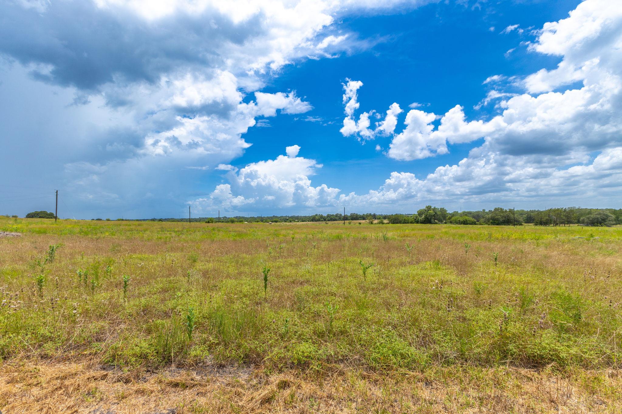 2160 (tract #5) Baca Loop Property Photo 14