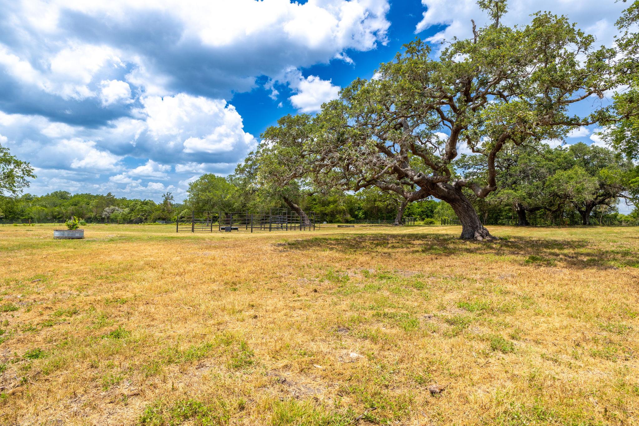 2160 (tract #5) Baca Loop Property Photo 16