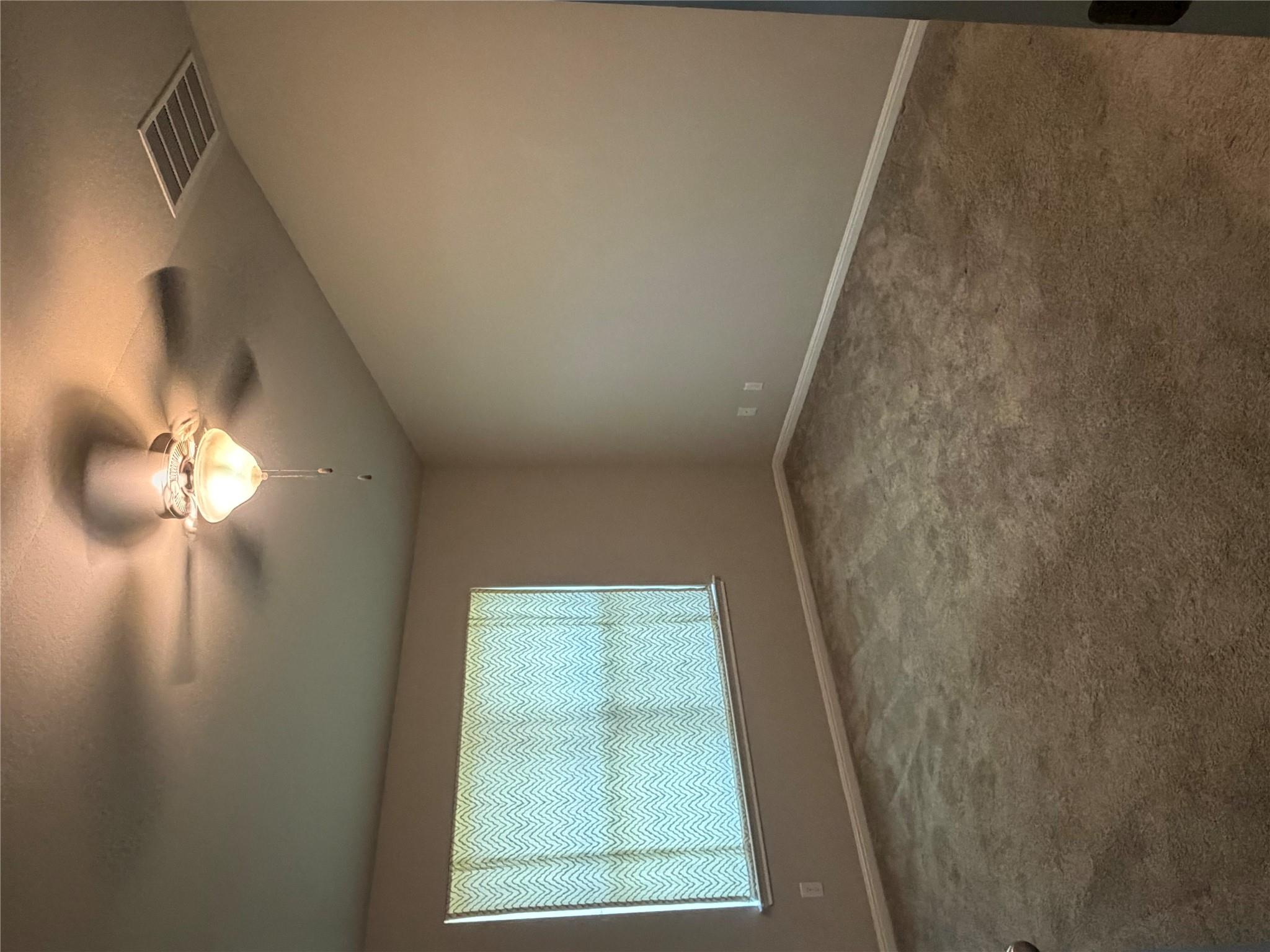 224 Blooming Trl Property Photo 8