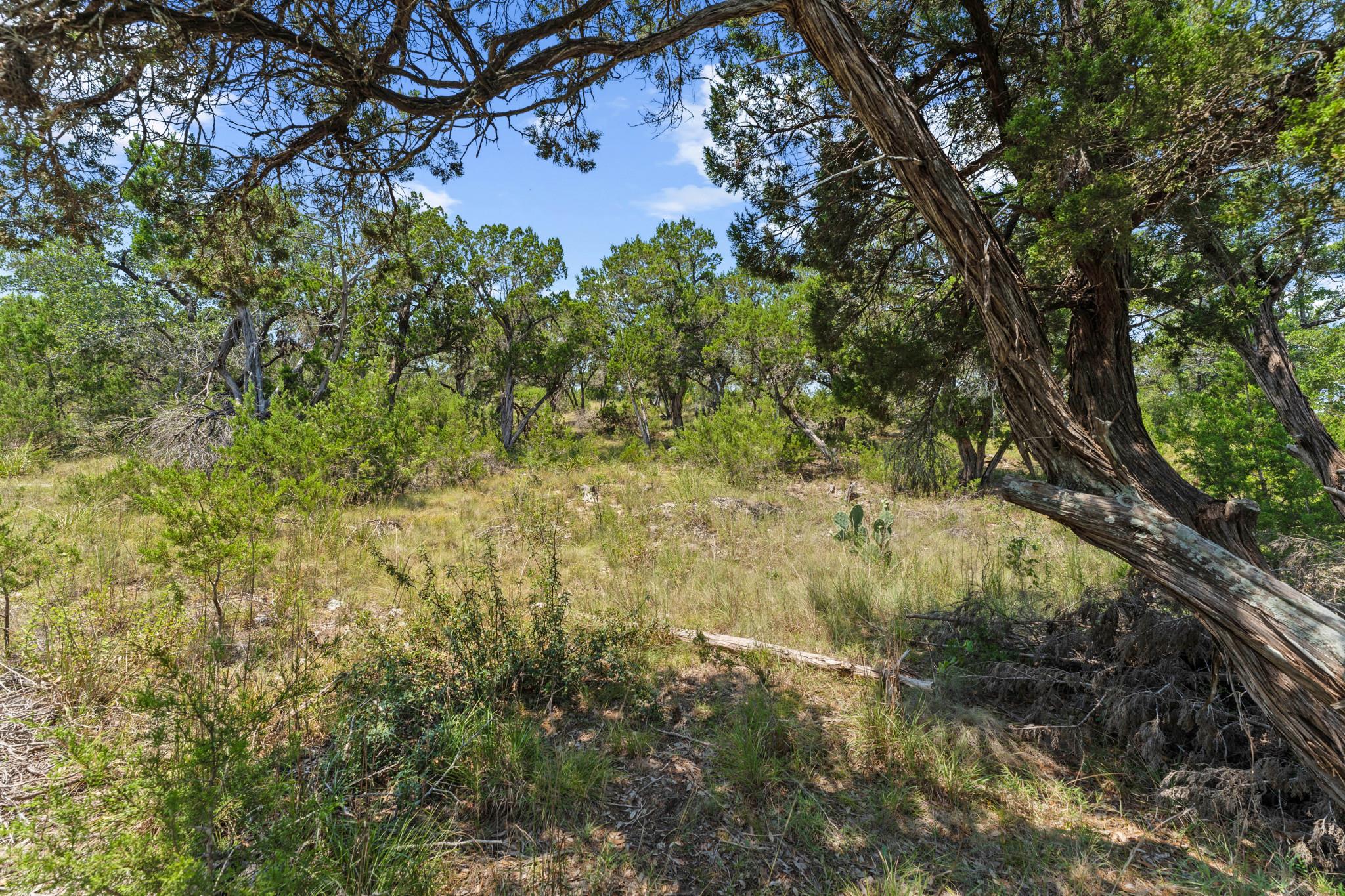 7b Broadwing Cv Property Photo 13