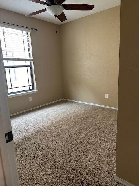 2611278 Property Photo 6