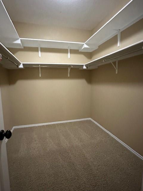 2611278 Property Photo 10