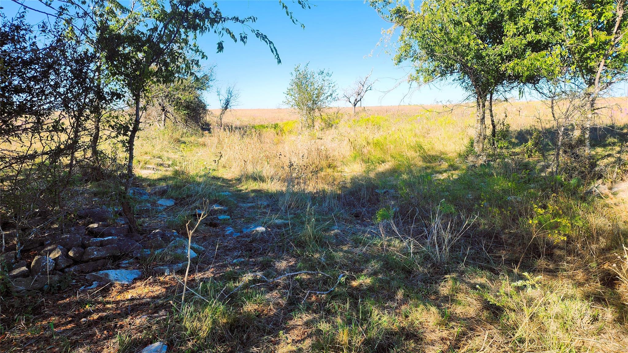 Tract 7 County Road 963 Property Photo 11