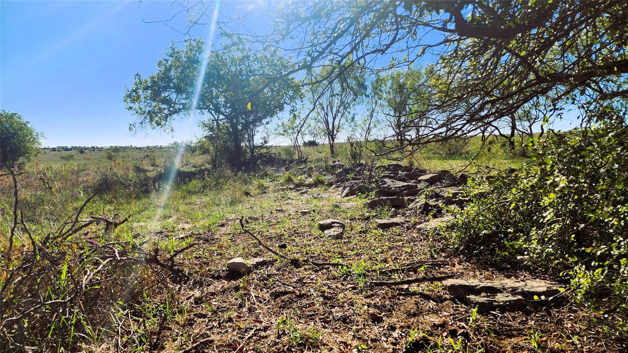 Tract 7 County Road 963 Property Photo 12