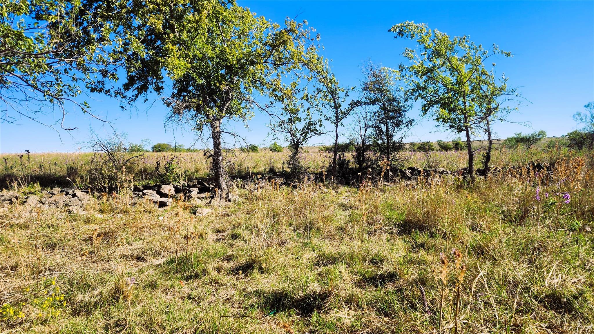 Tract 7 County Road 963 Property Photo 13